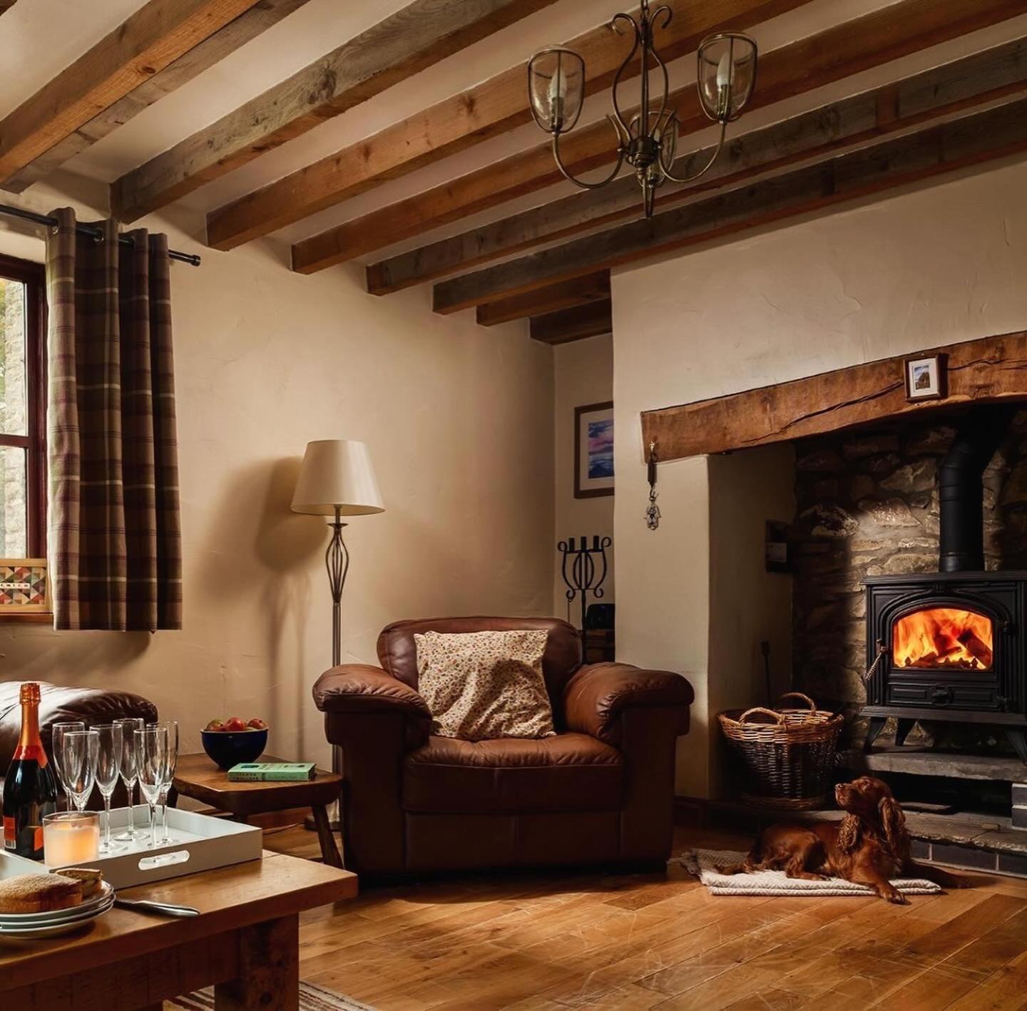 Trysor Holiday Cottage, Cardigan Bay with sea views view 4