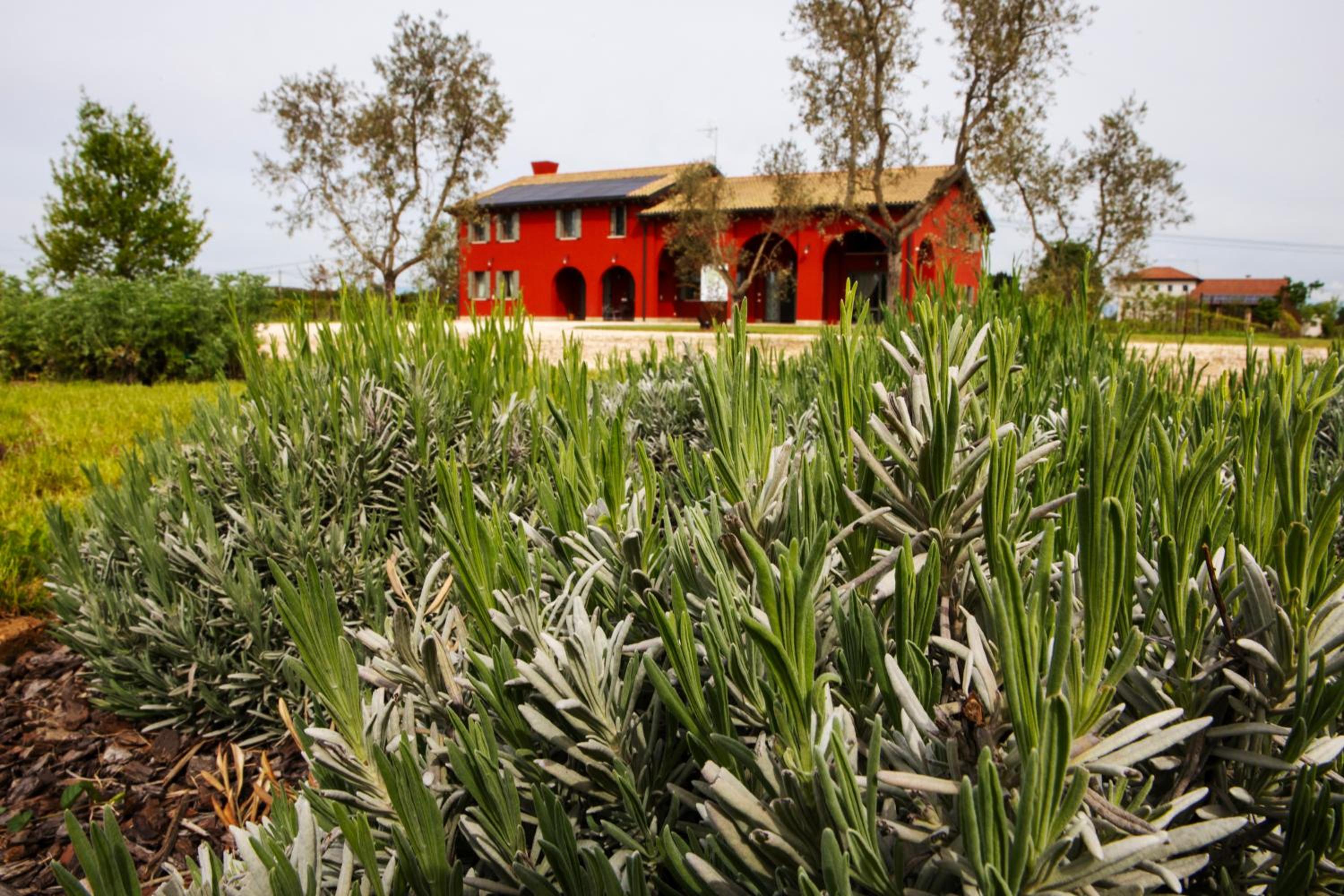 Agriturismo La Rosarnetta view 3