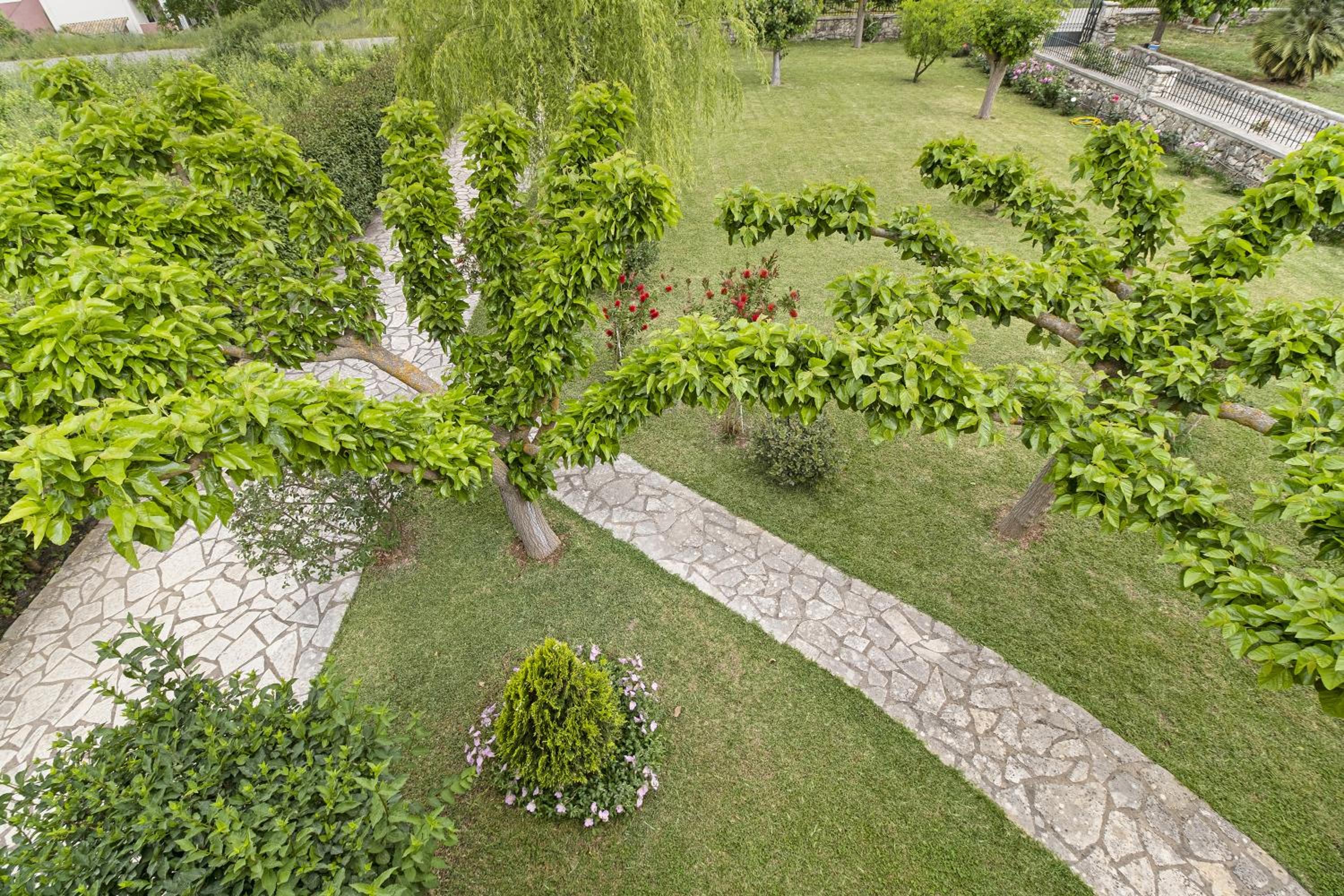 Villa Rita