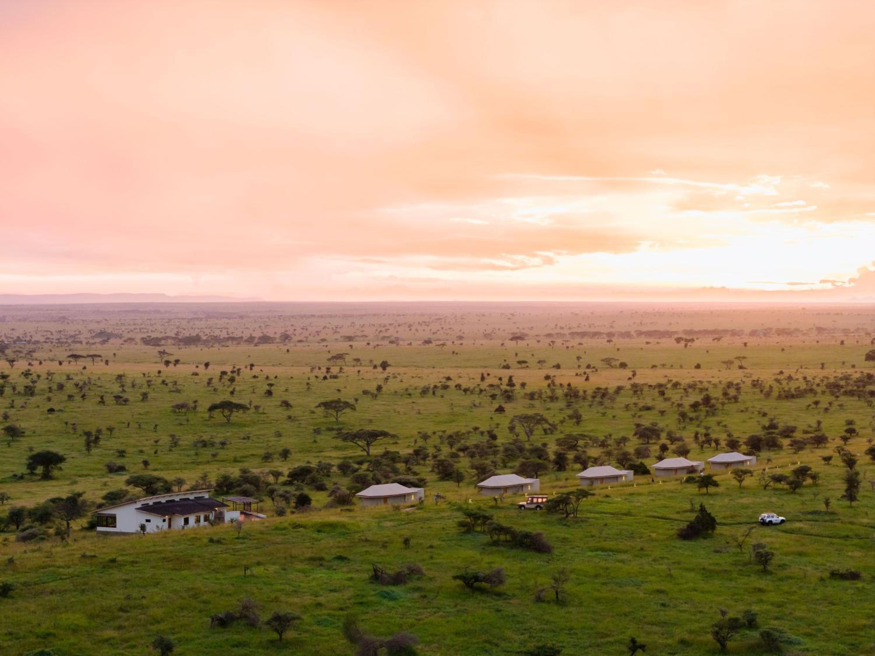 Salinero Serengeti view 3