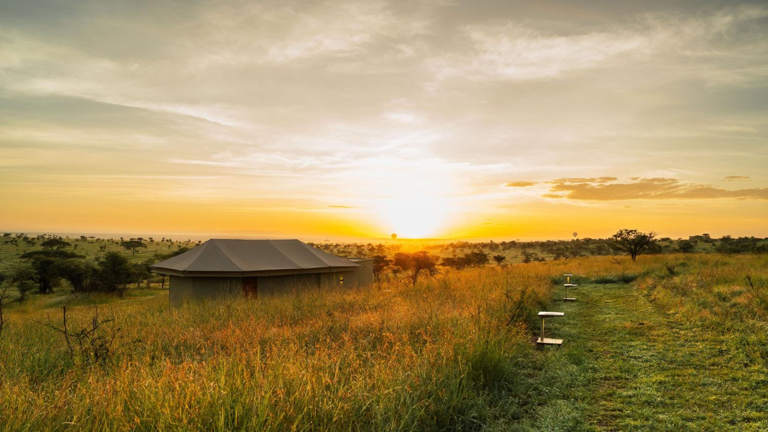 Salinero Serengeti view 4