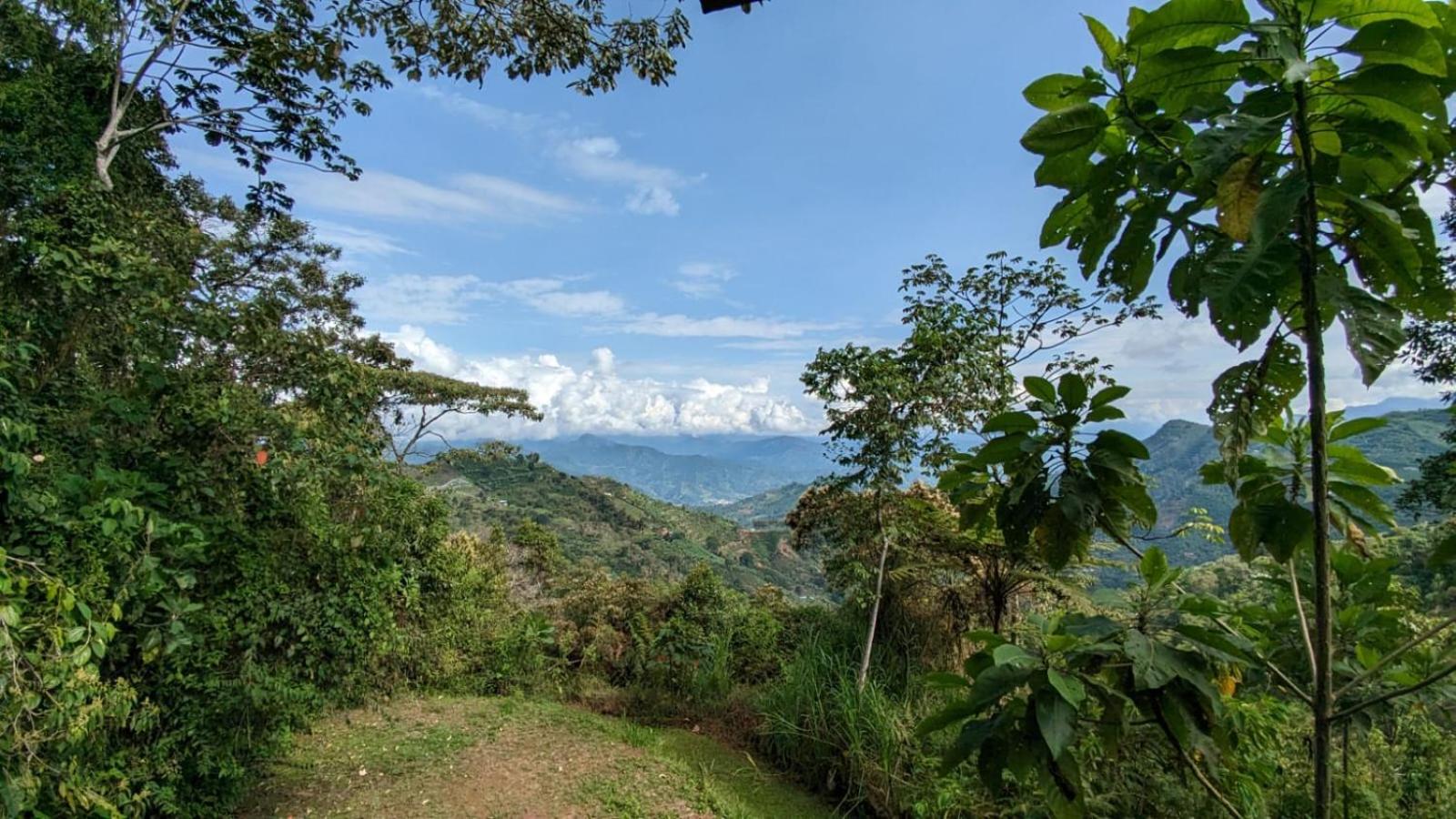 La Esperanza bird Lodge and Reserve