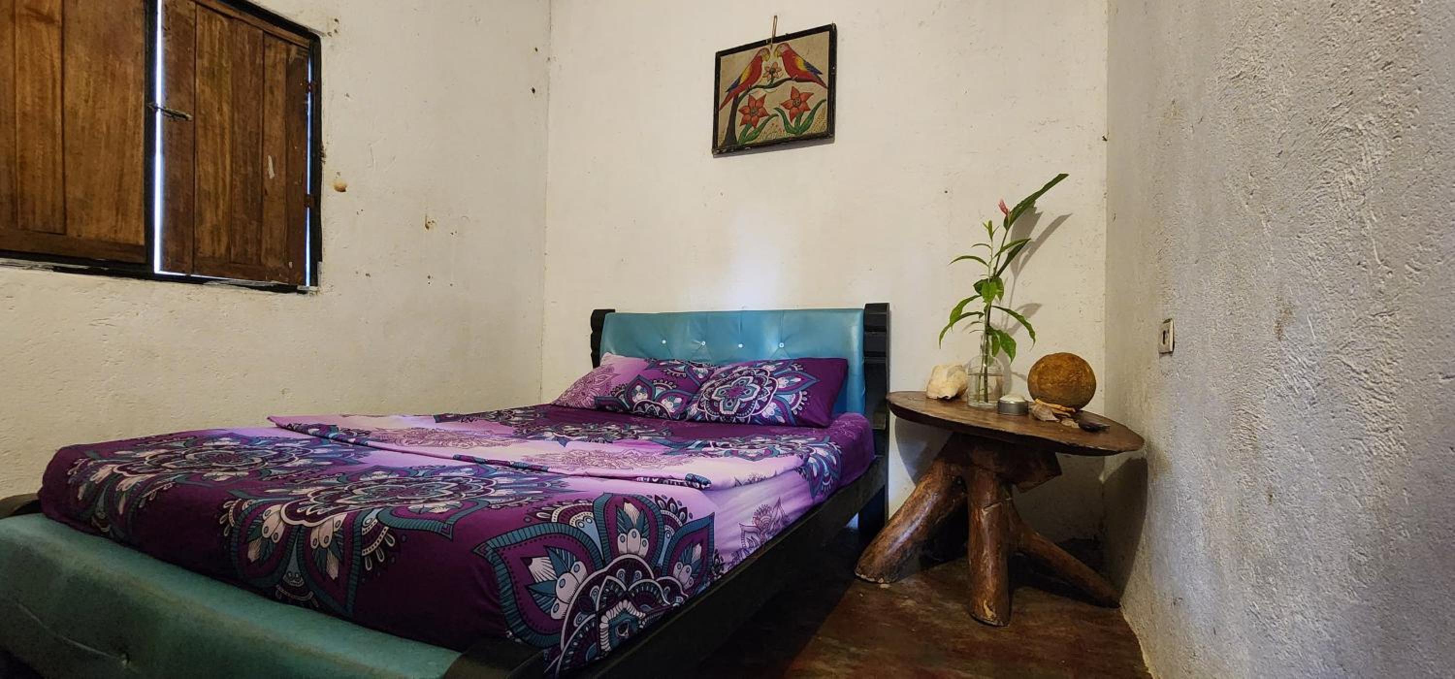 LA PIRATA Casa Hostel