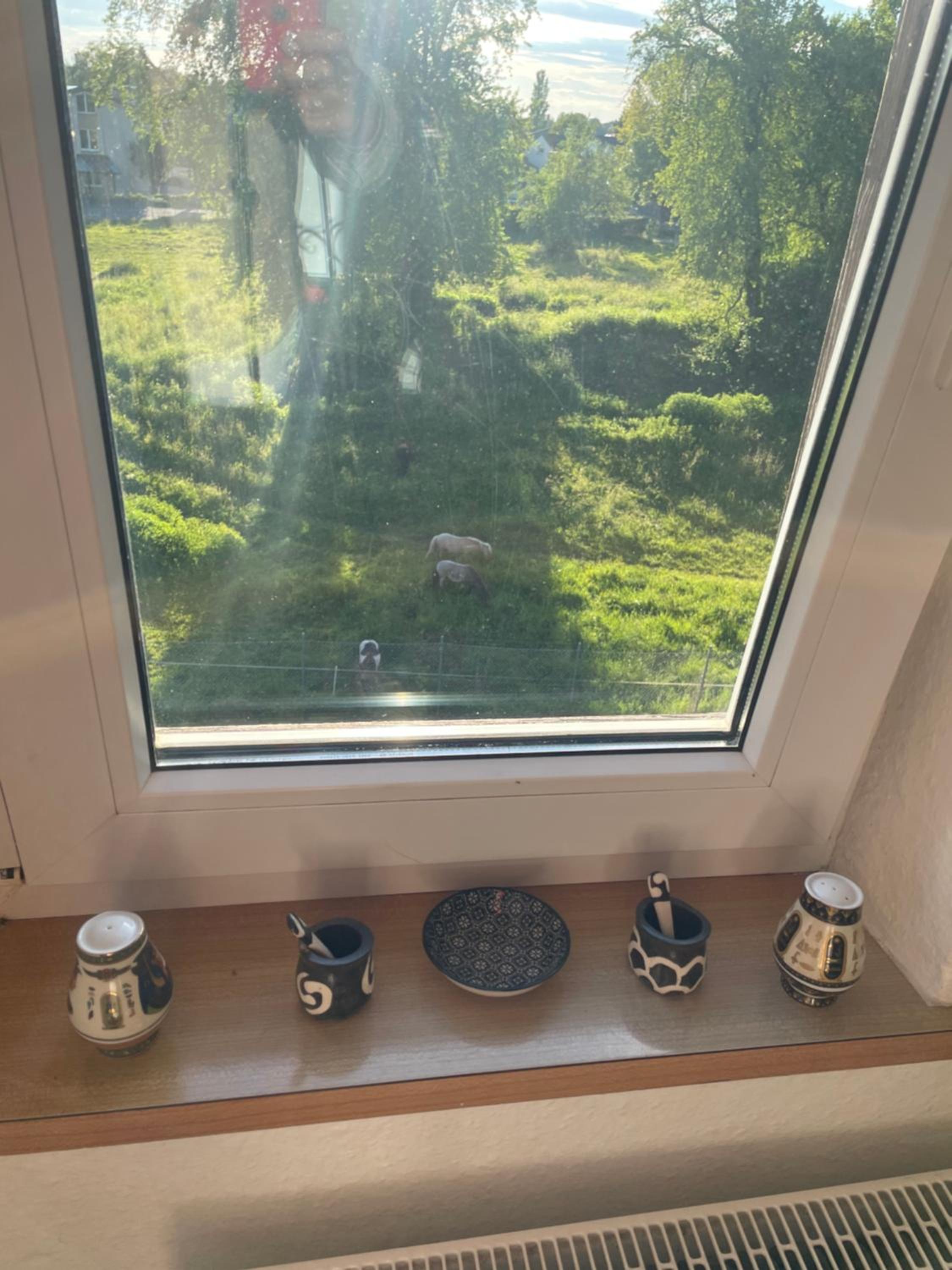 Small attic apartment close to Lake and Mountains Fussach