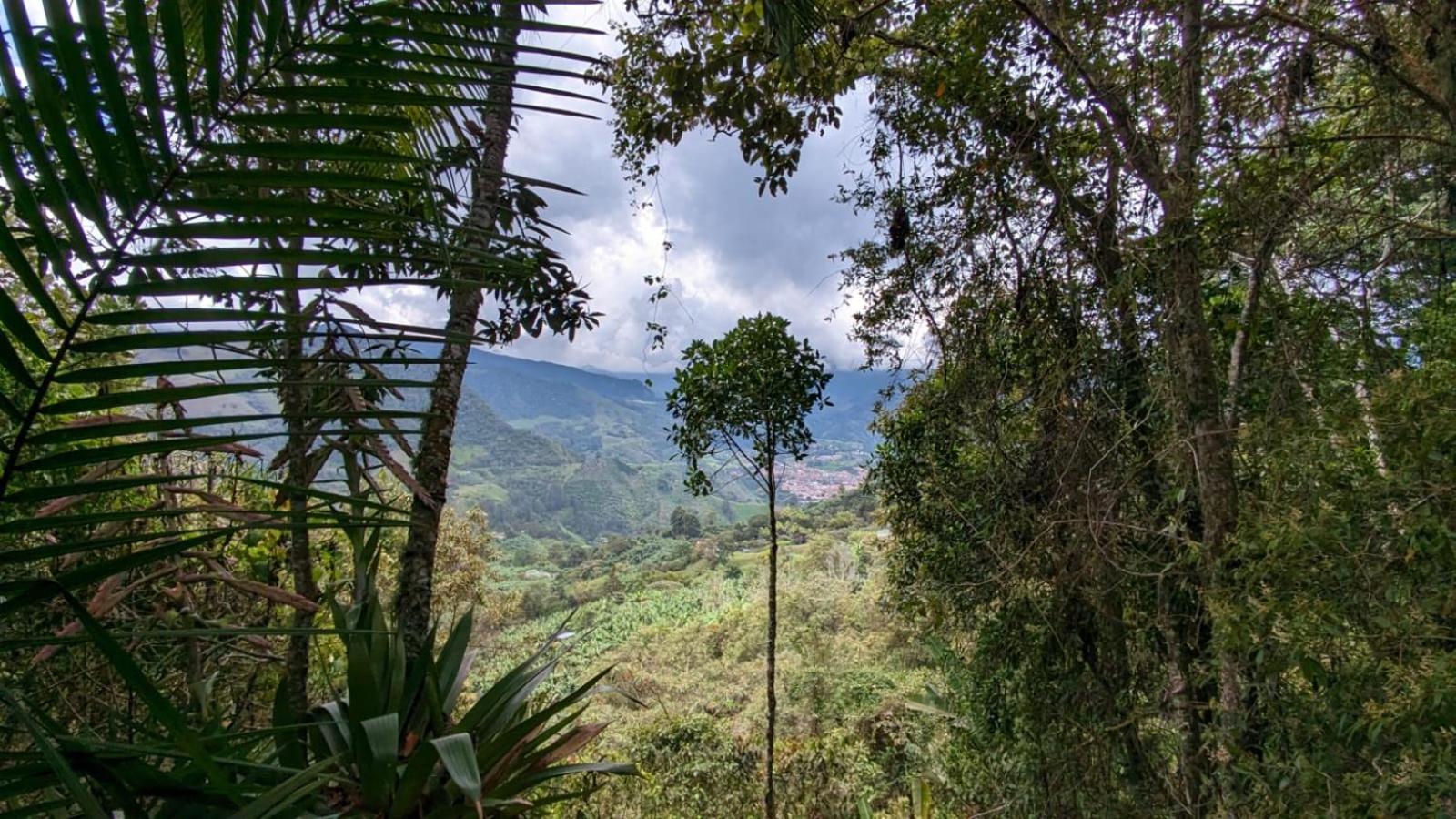 La Esperanza bird Lodge and Reserve
