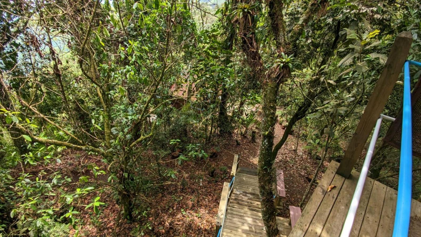 La Esperanza bird Lodge and Reserve