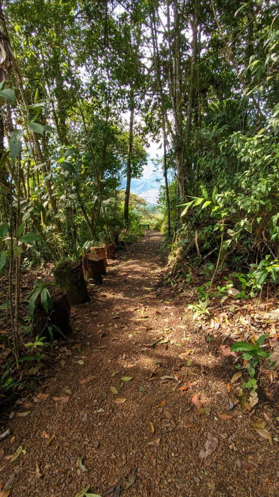 La Esperanza bird Lodge and Reserve
