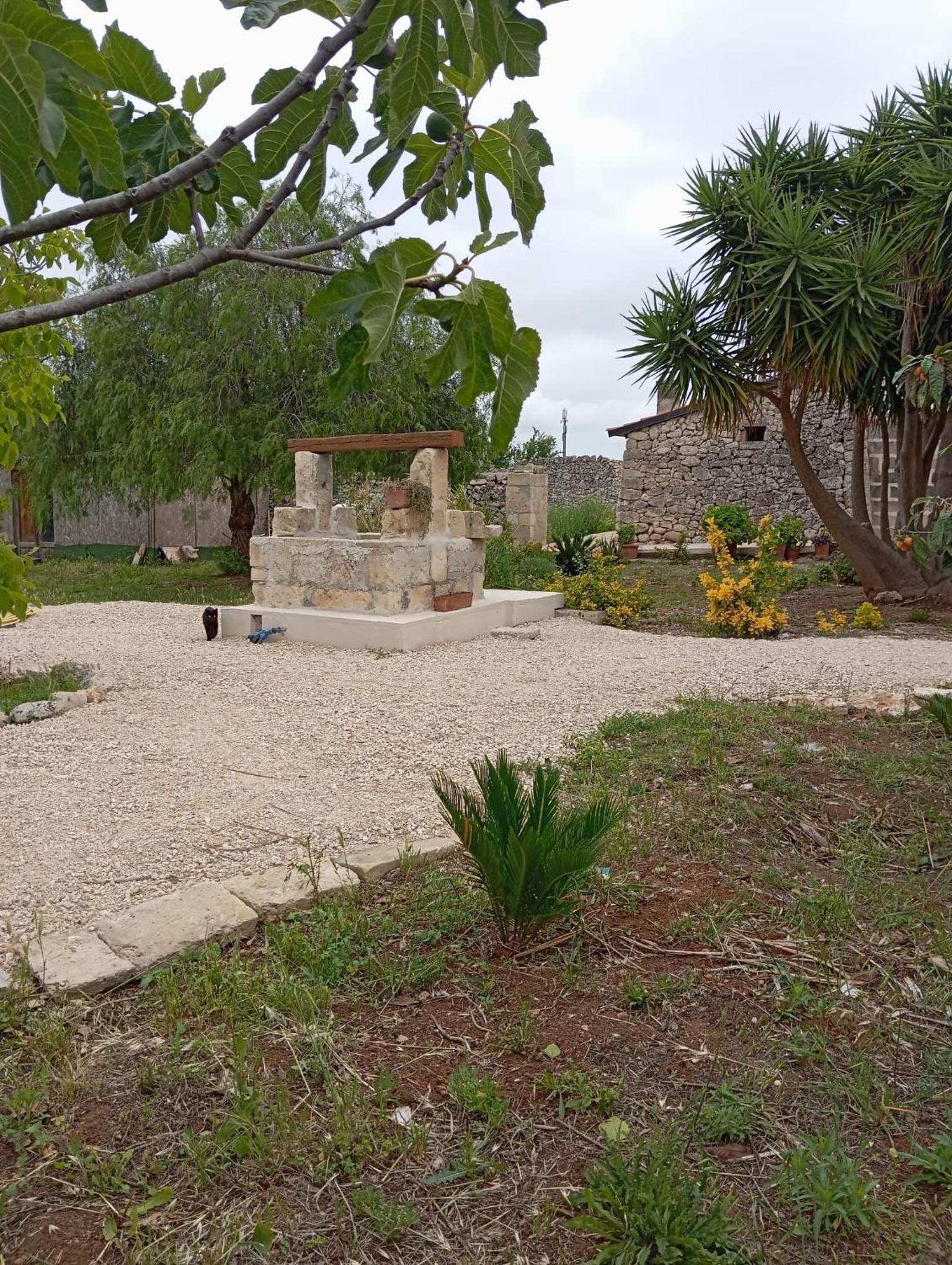 Photo 35