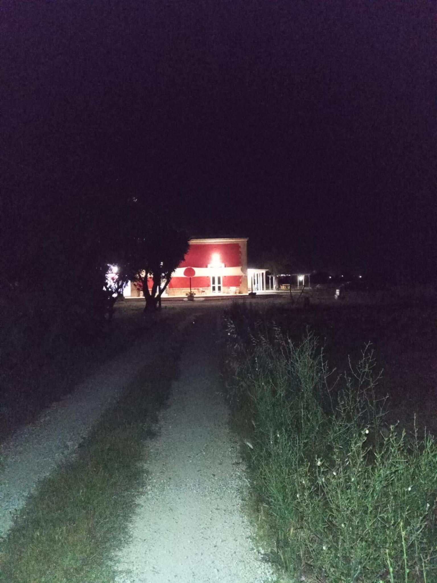 Photo 41