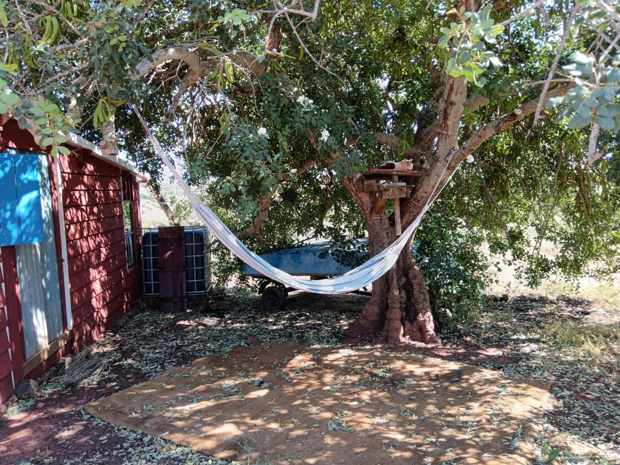 Quinta da Fornalha - Santuario Agroecologico - Image 4