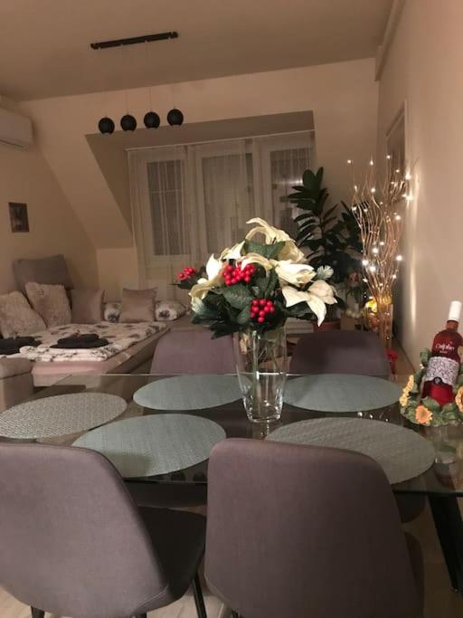 Stefi Apartman Termálfürdő közelében view 2
