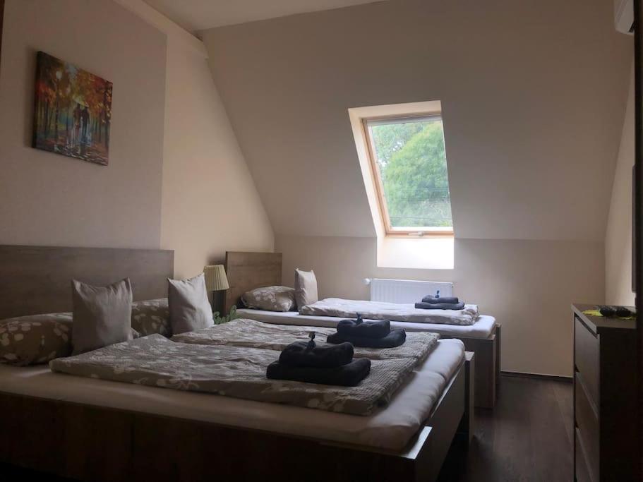 Stefi Apartman Termálfürdő közelében view 3