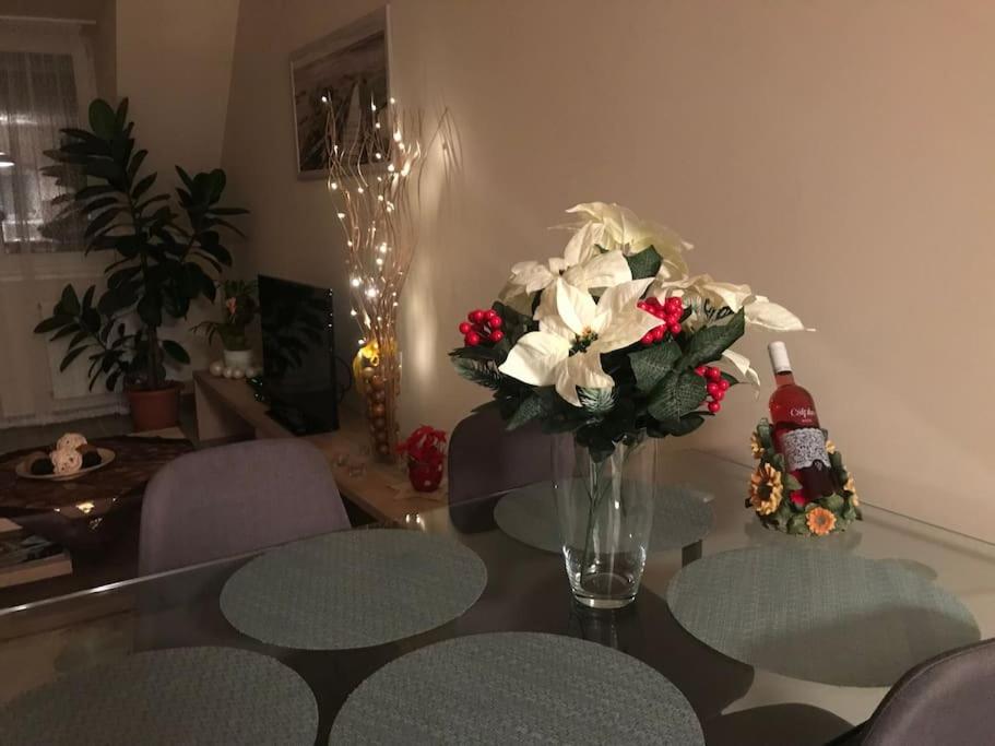 Stefi Apartman Termálfürdő közelében view 4