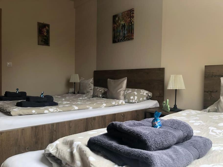 Stefi Apartman Termálfürdő közelében view 5