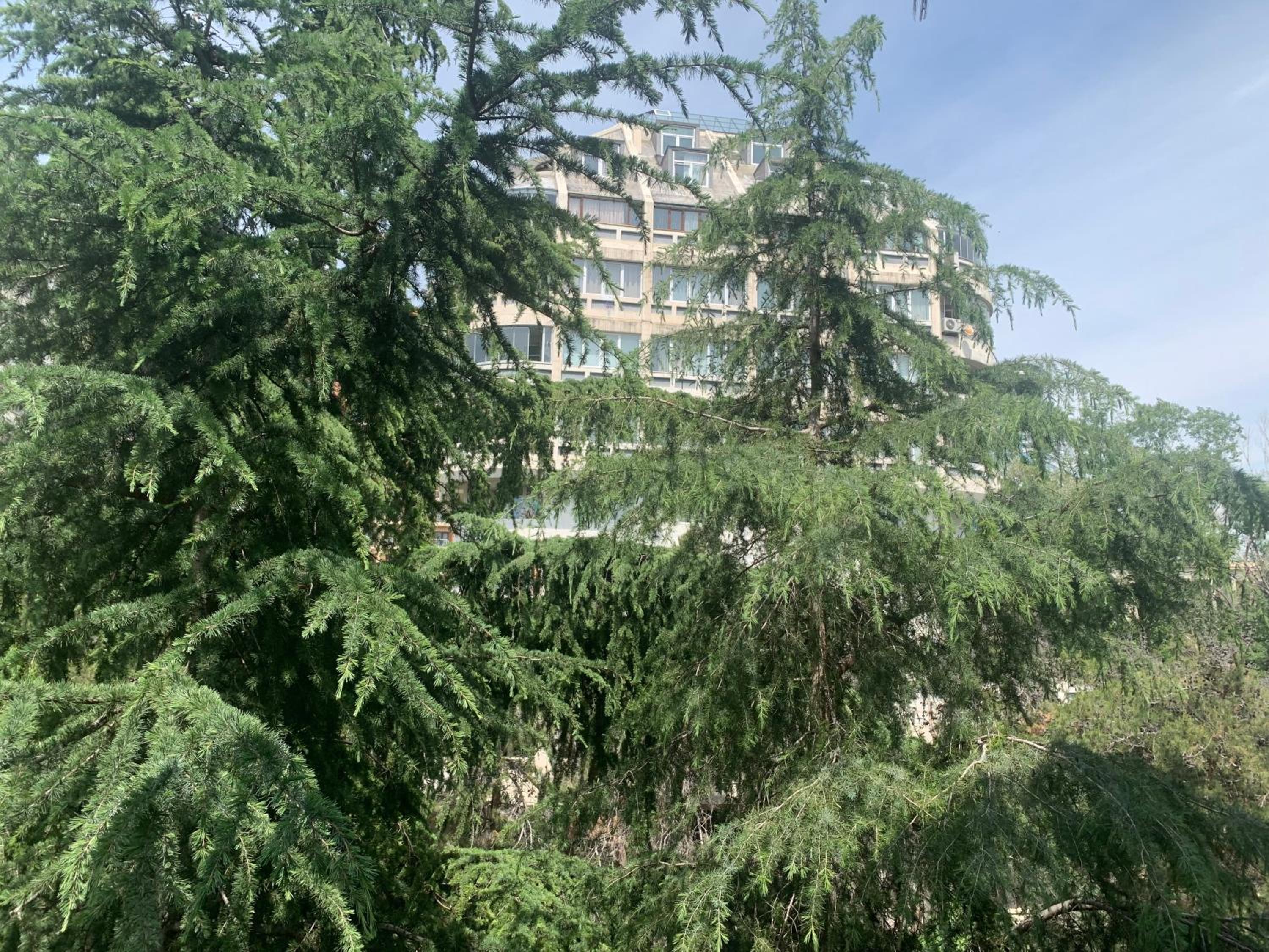 Apartment in the Heart of Tbilisi view 2