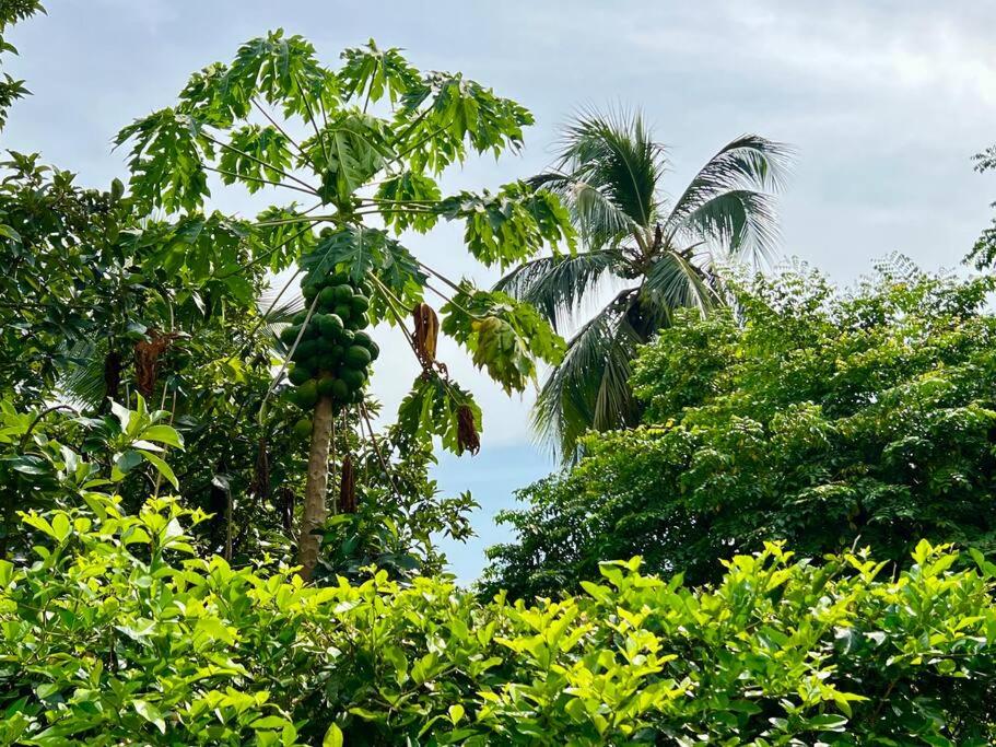 Villa Victoria Hermosa y tranquila Quinta Campestre