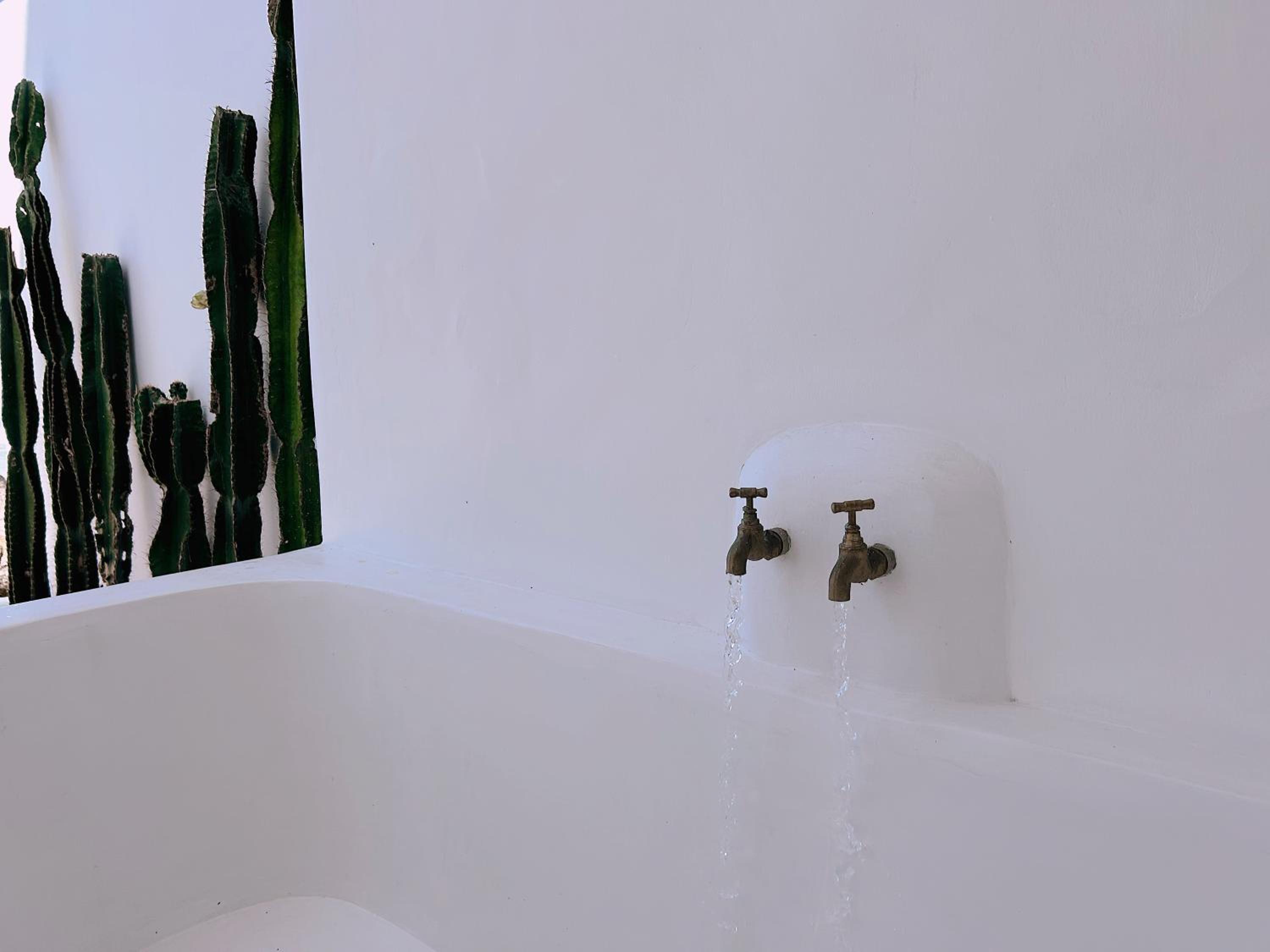 Photo 50