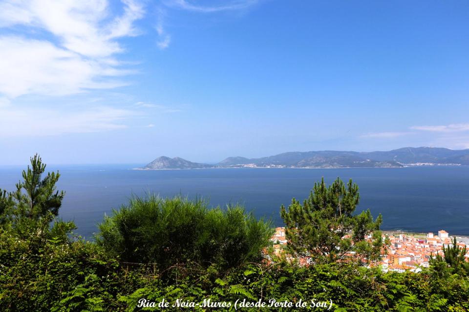 Oliveira de Portosín