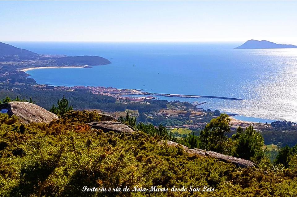 Oliveira de Portosín