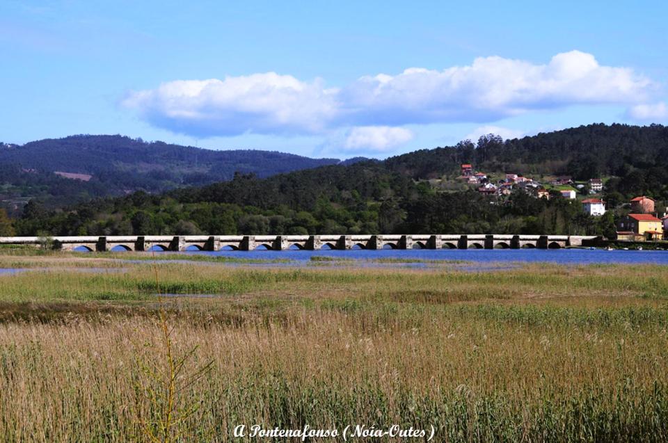 Oliveira de Portosín