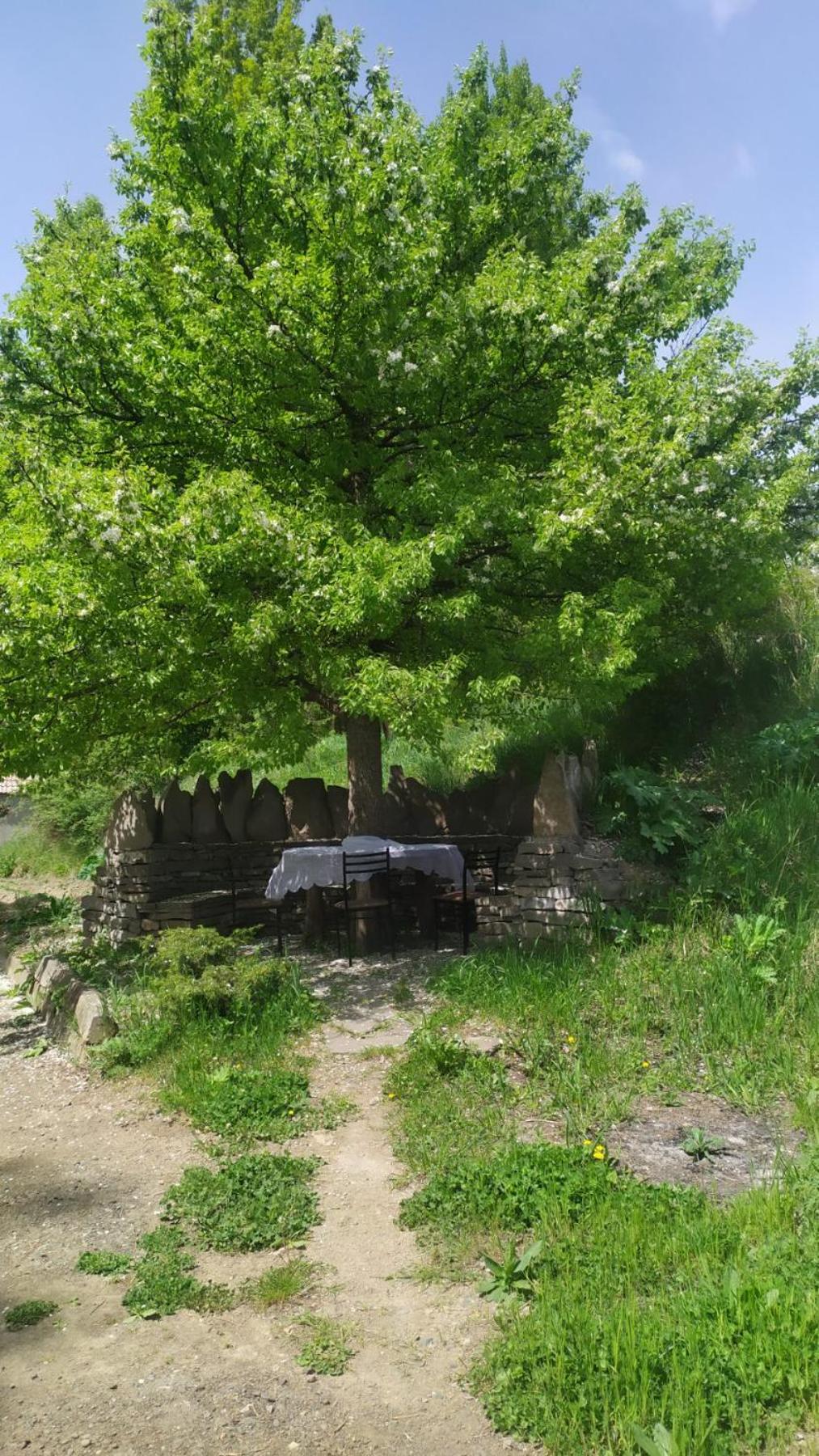 Saro B&B