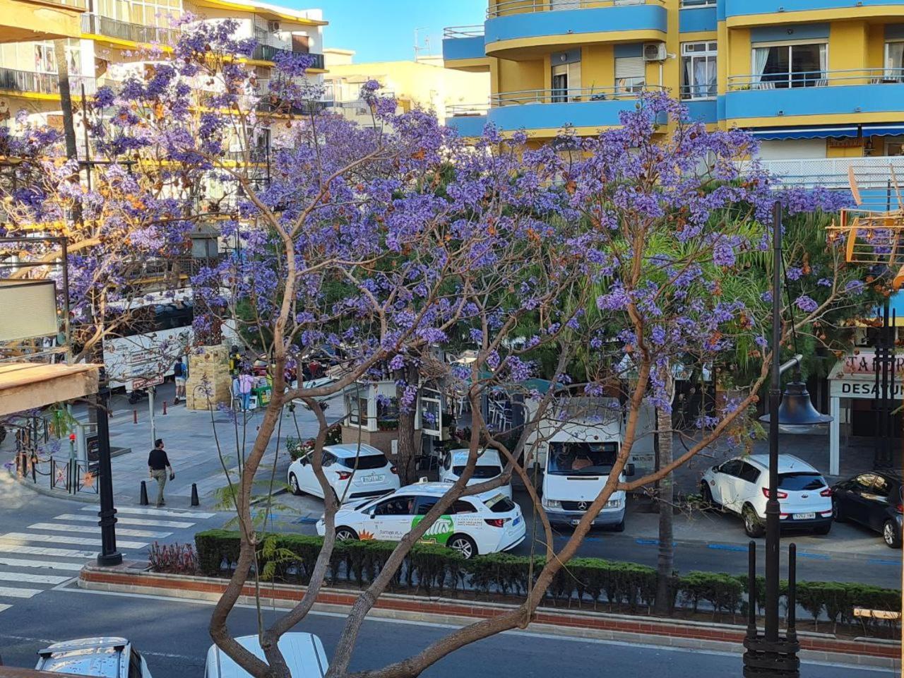 Im Herzen von Fuengirola