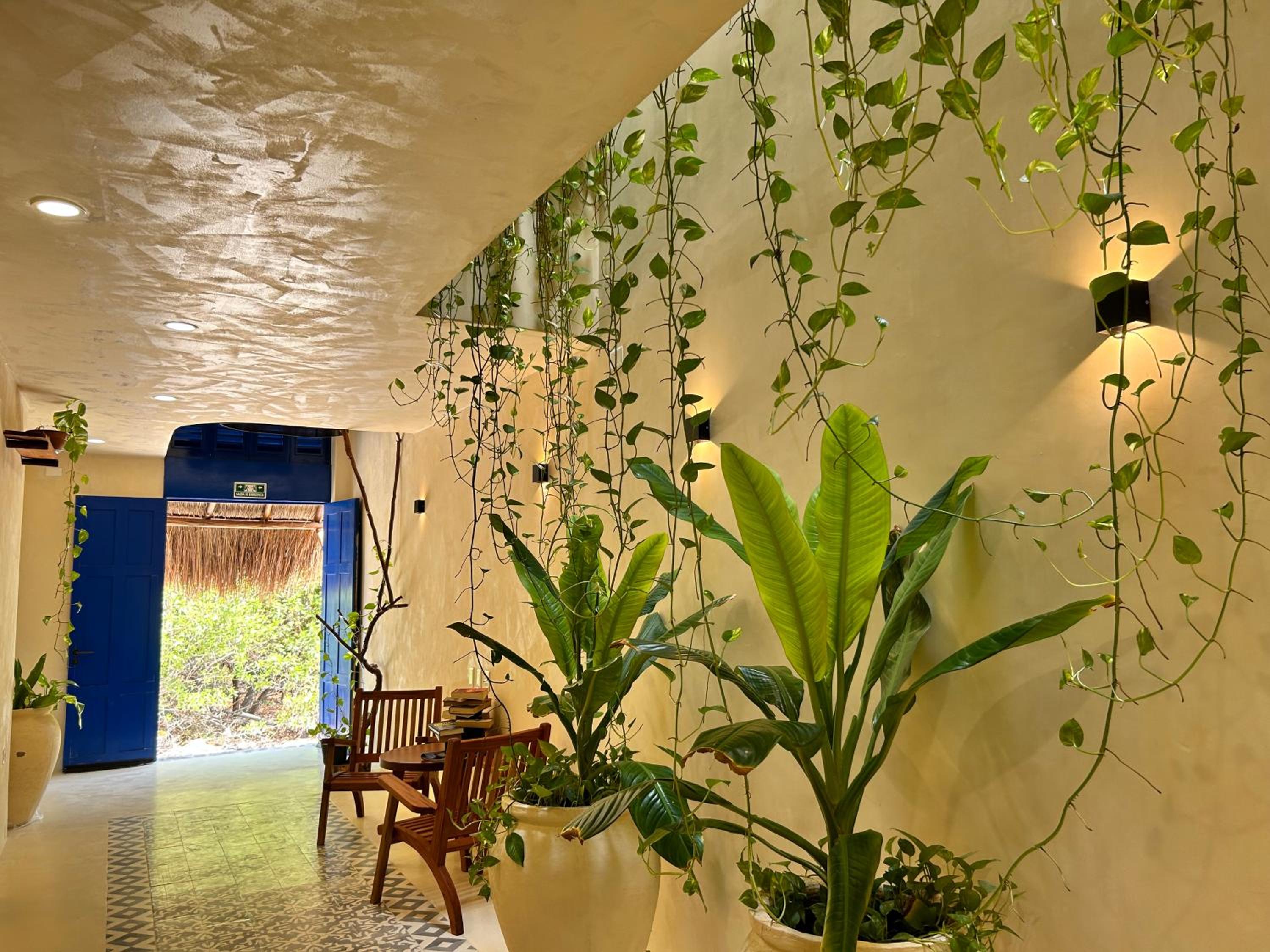 Sunsteps casa holbox