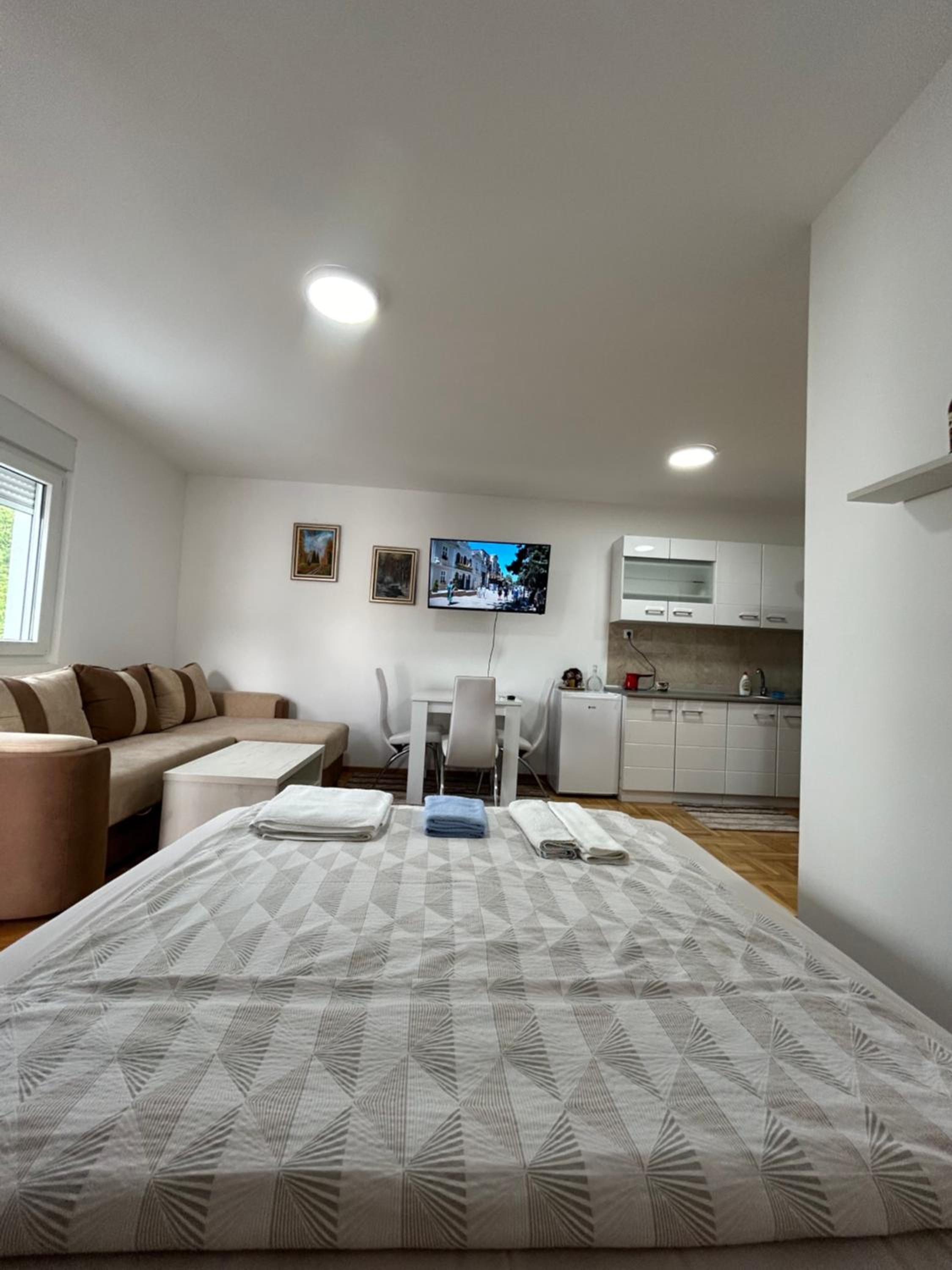 Apartmani Central 8 & Free parking view 3