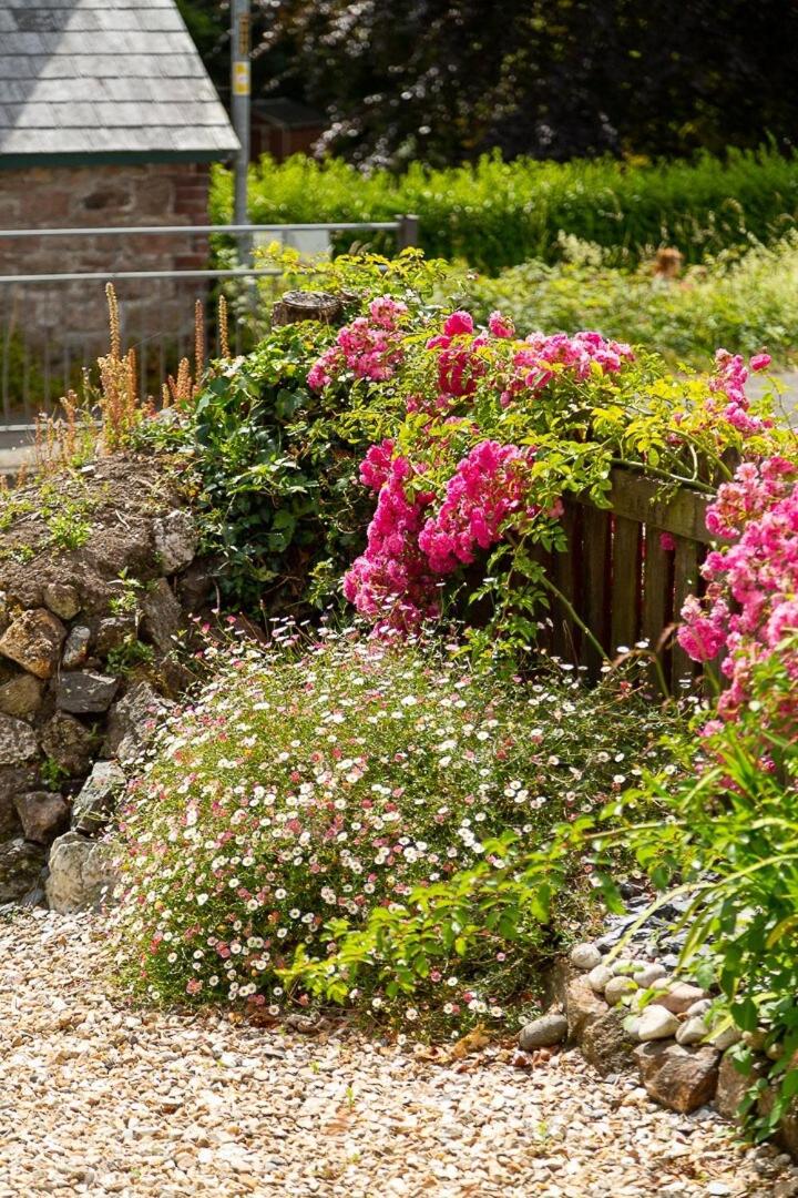 Charlestown cottage, Woodburner, Gardens & Parking view 3
