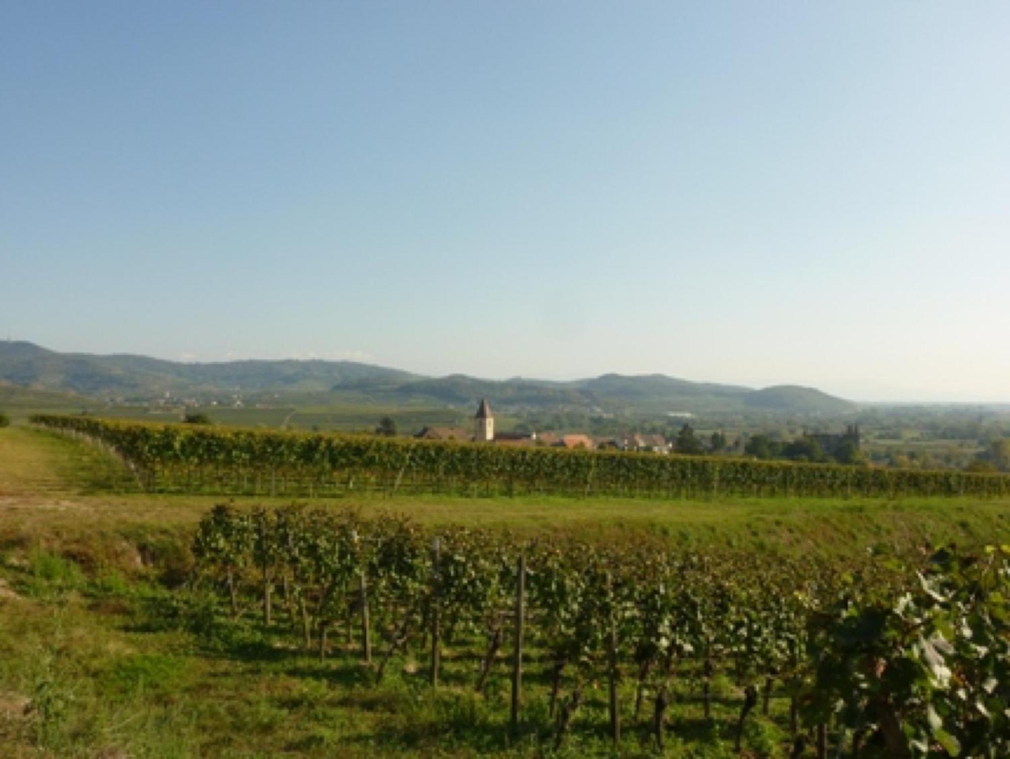 Bianca's Kaiserstuhl