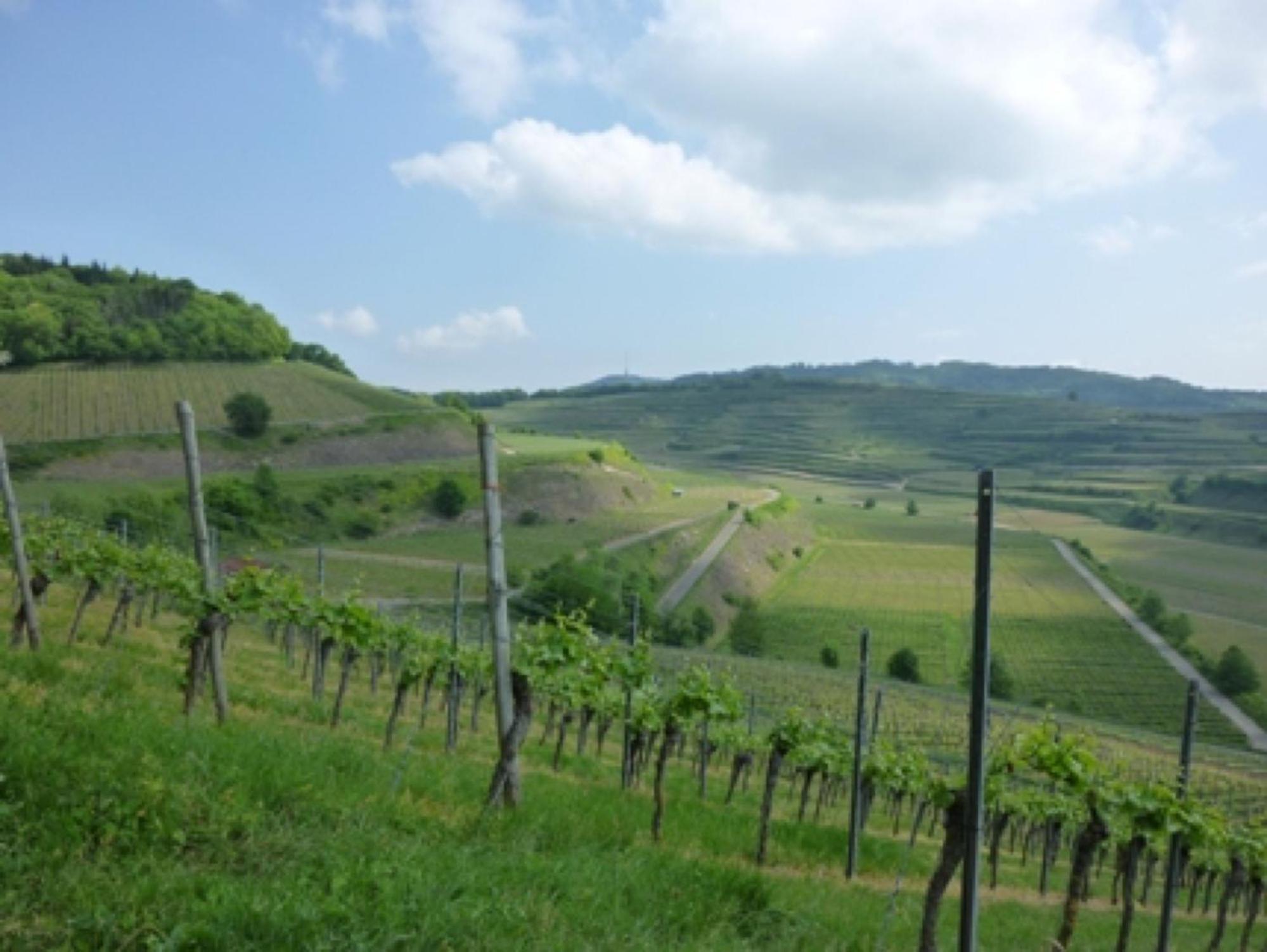 Bianca's Kaiserstuhl