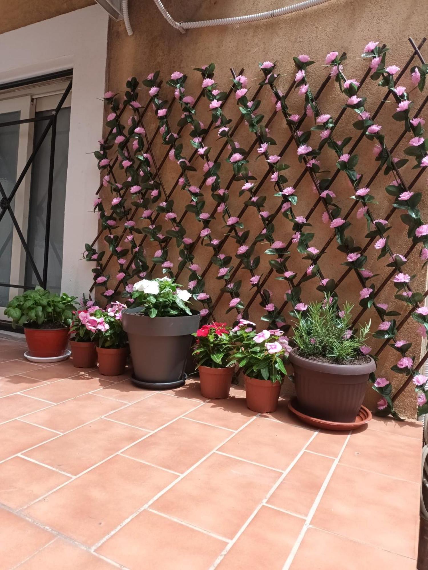 Le Case del Cortile