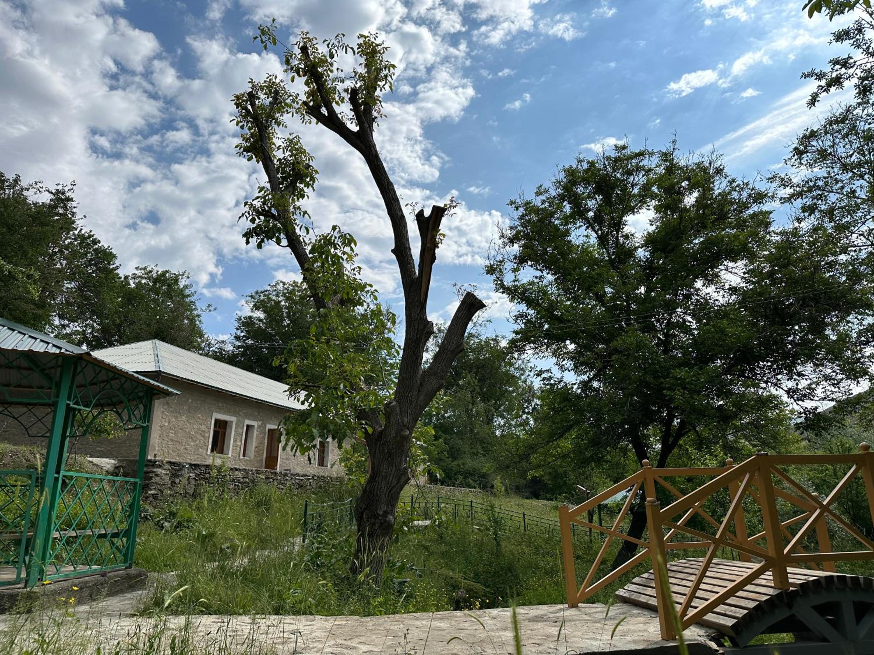 Muso guesthouse