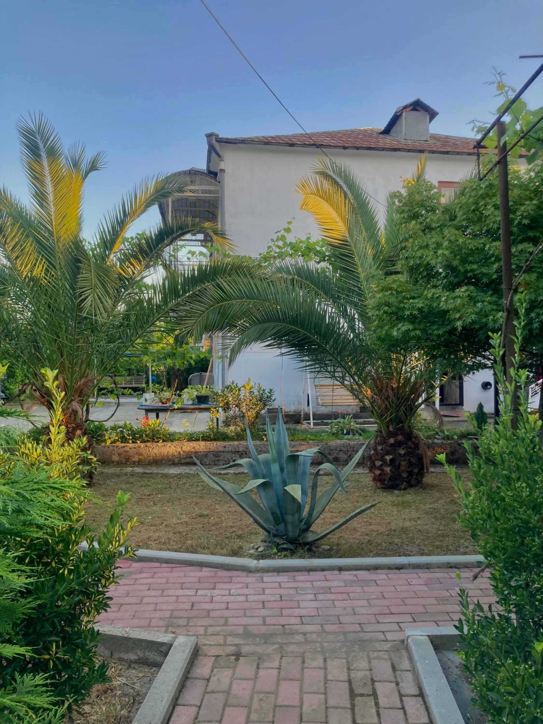 Lukas's house