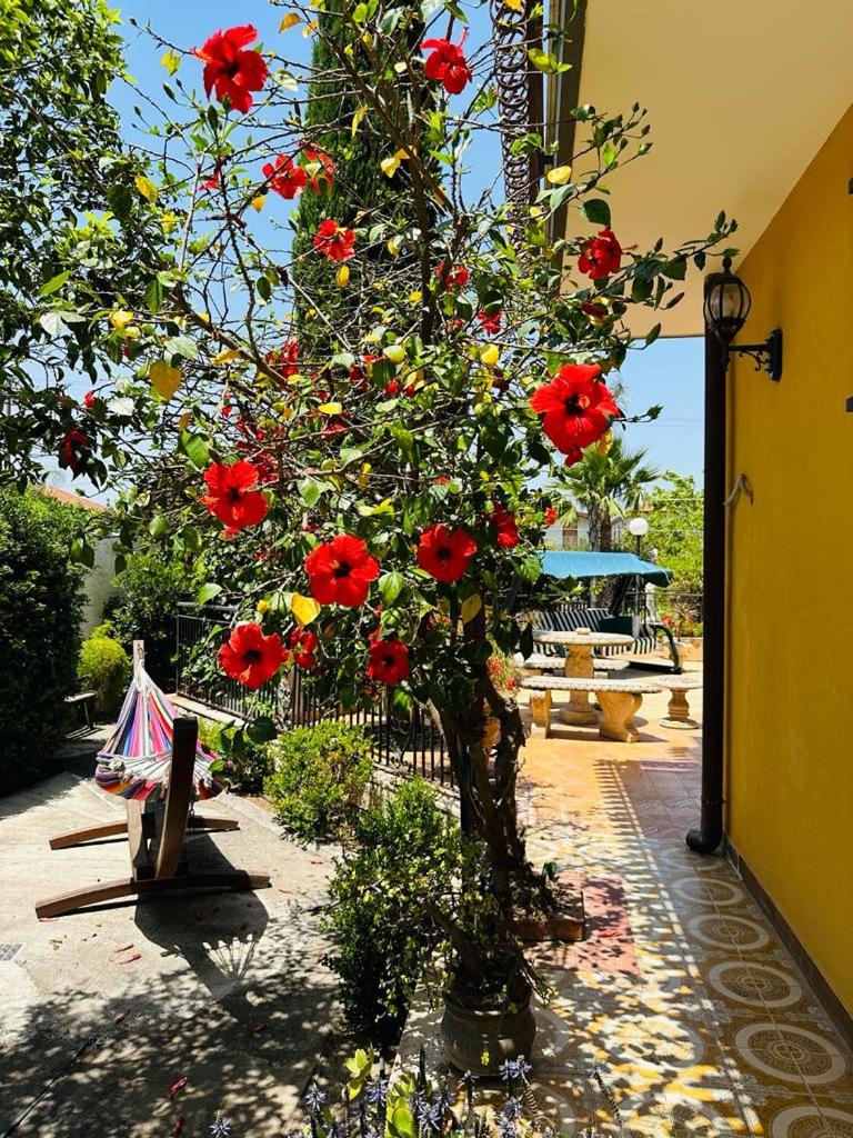 Villa Sicels - Agnone Beach - Syracuse view 5