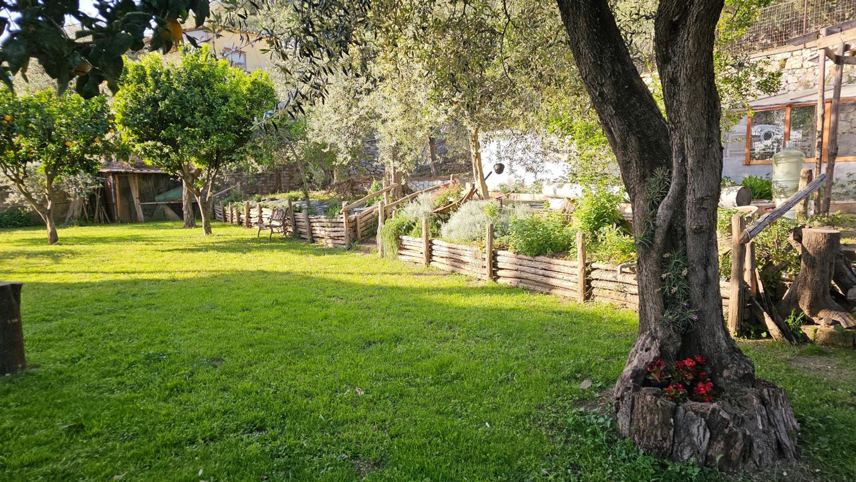 Photo 23