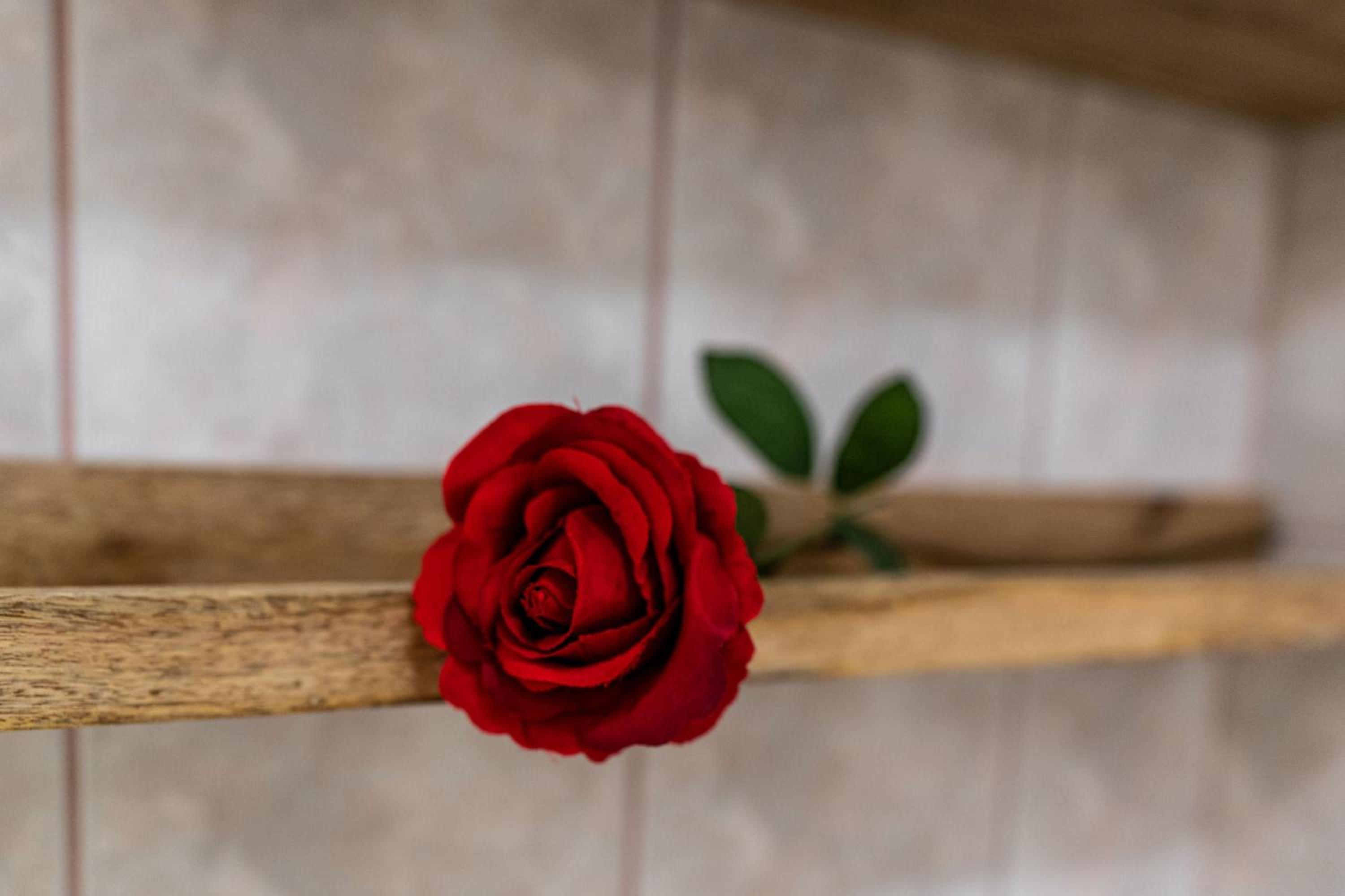 Photo 45