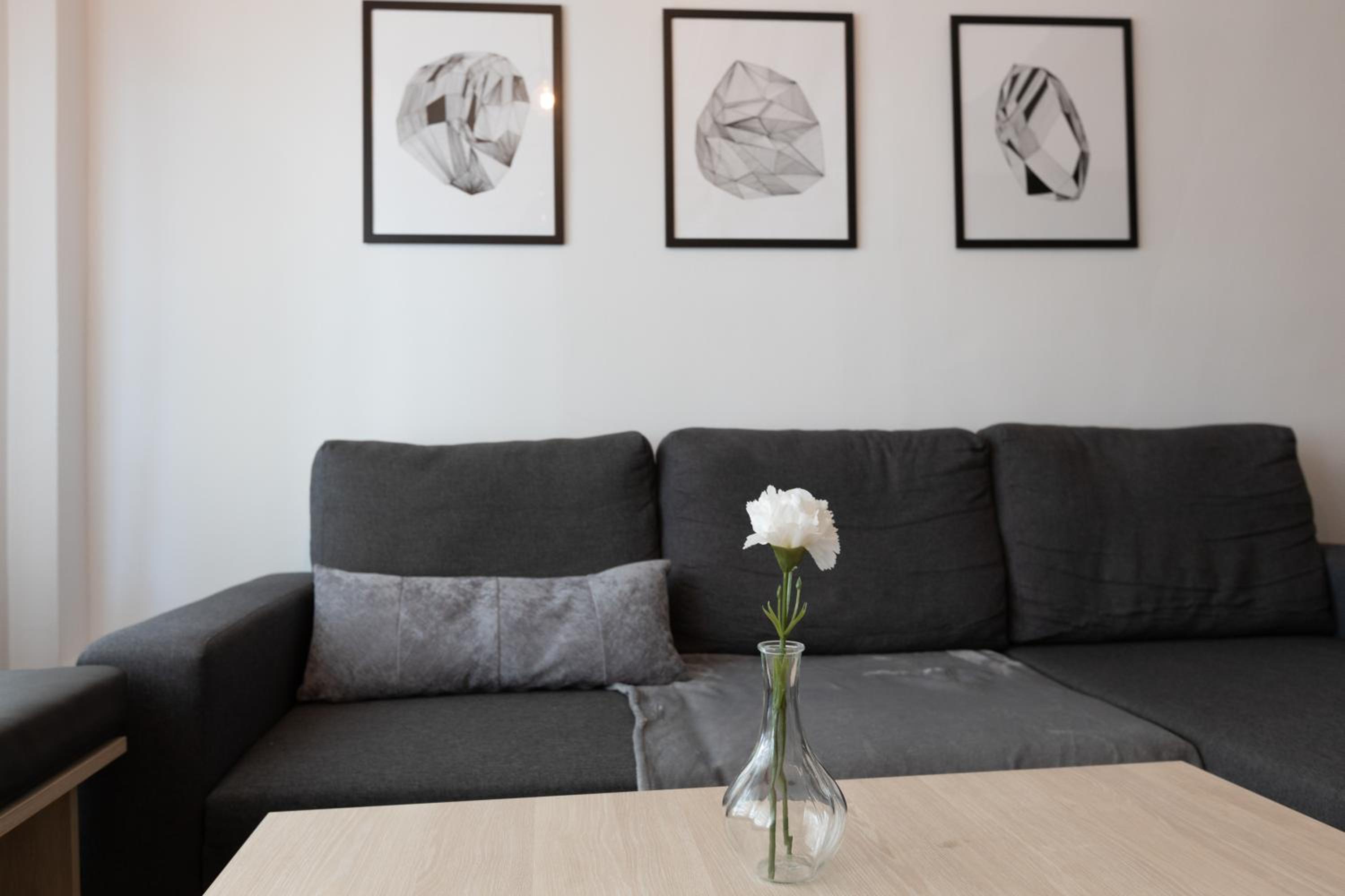 Urban Harmony Apartment view 3