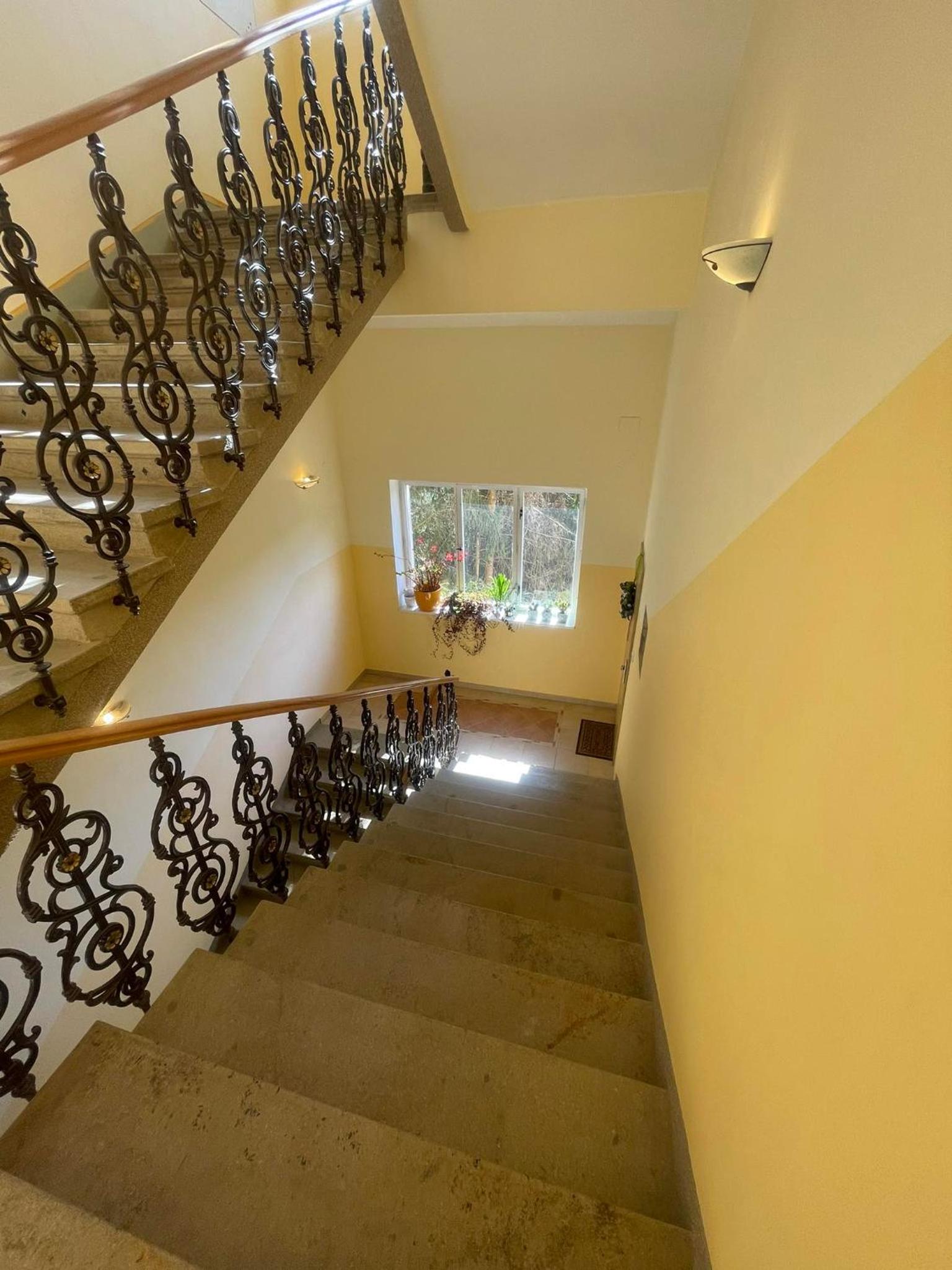Apartment Villa Frank