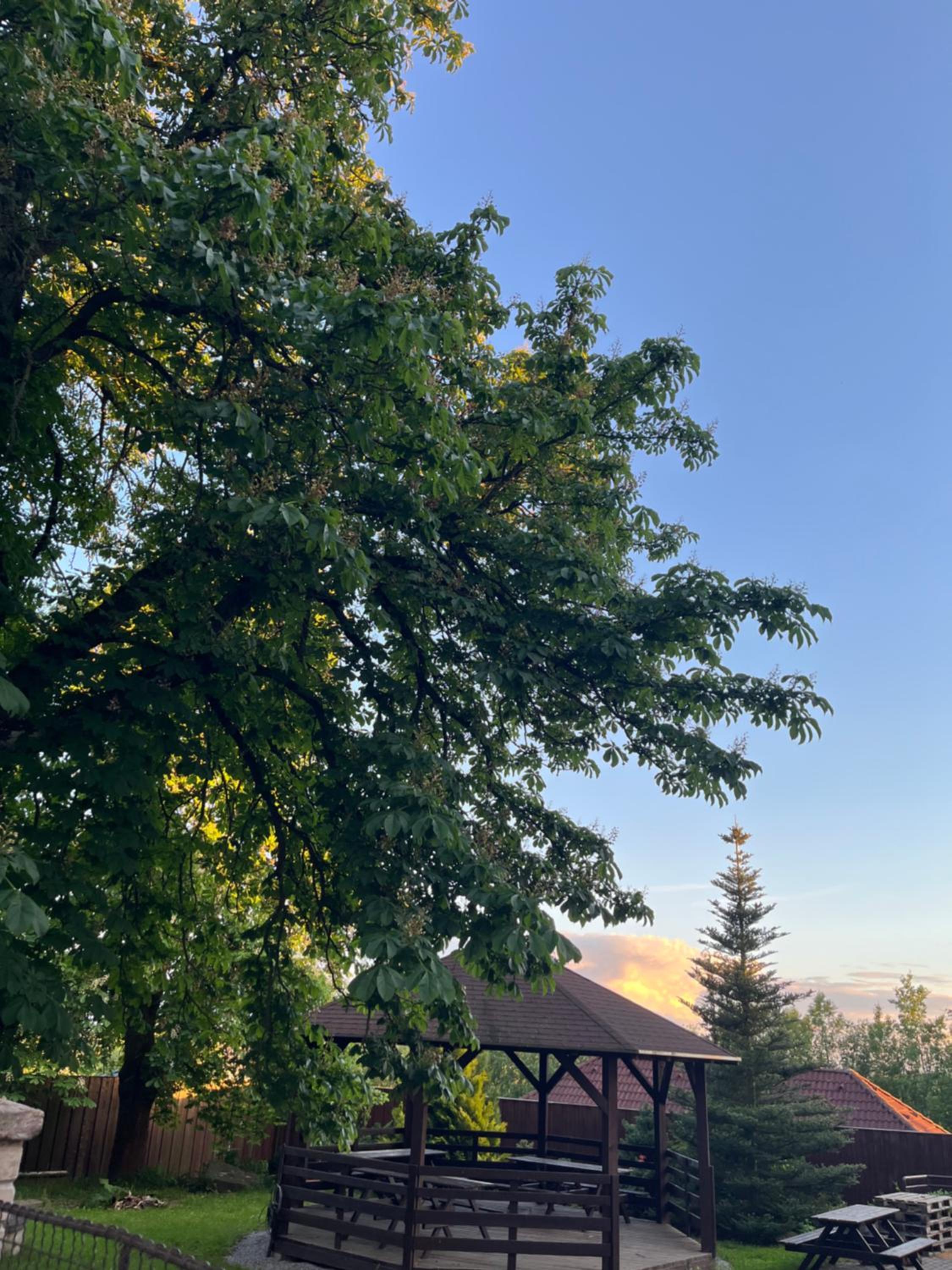 Pension U Lyžaře