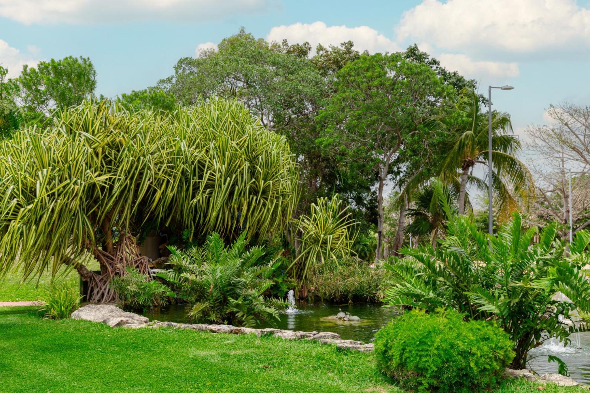 Large 4BR family House with Pool
