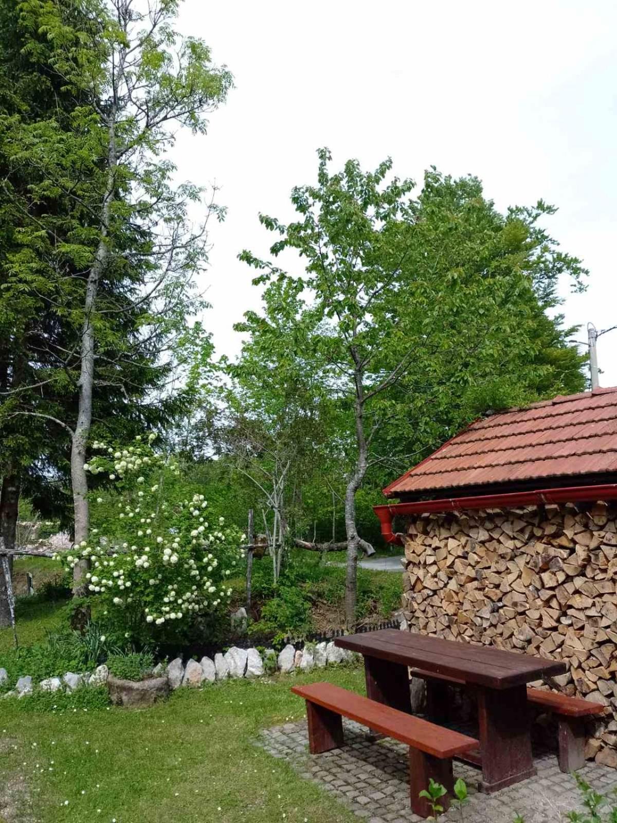House Polane in the Forest, 45 km from Seaside view 2
