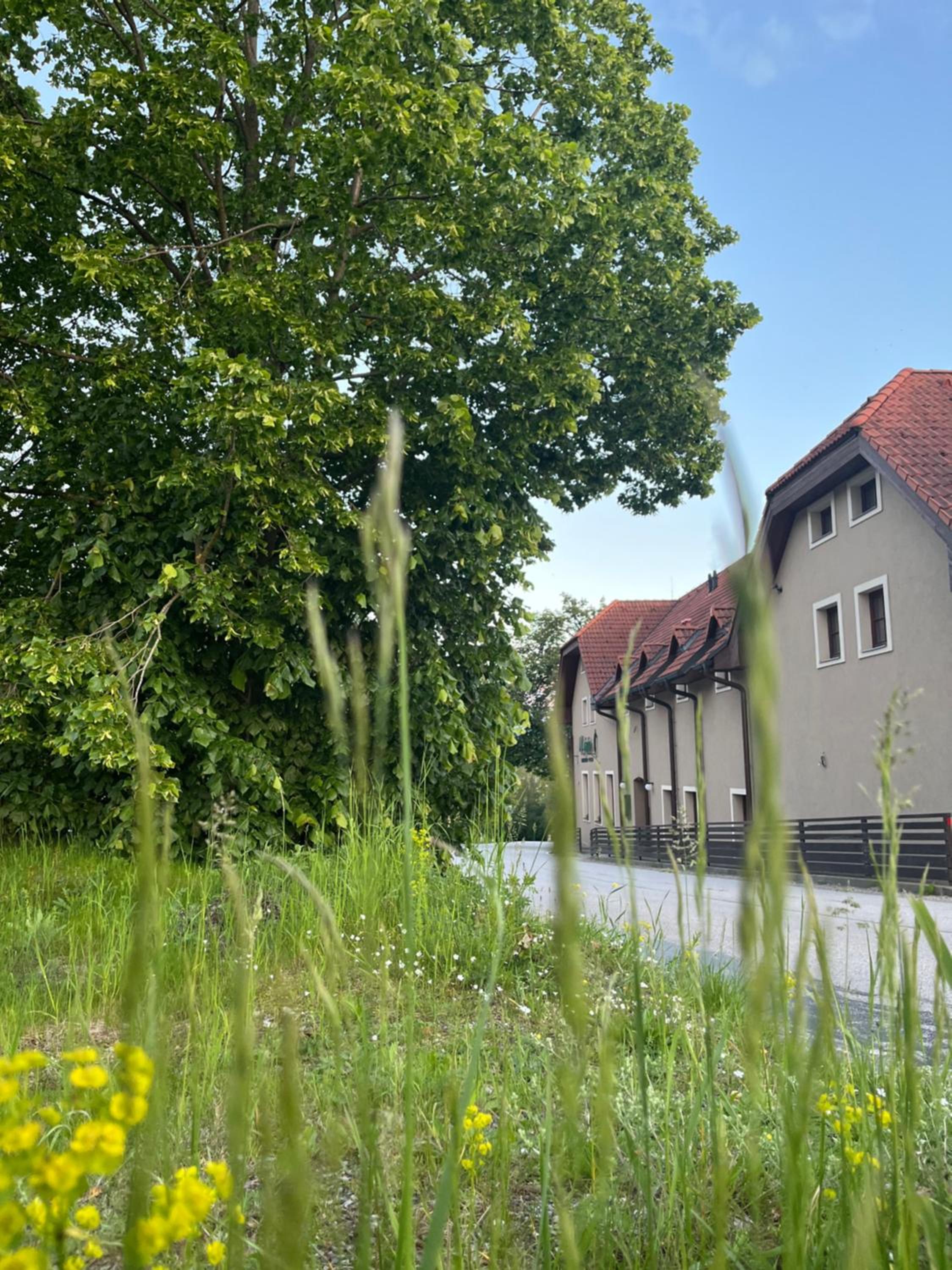 Pension U Lyžaře