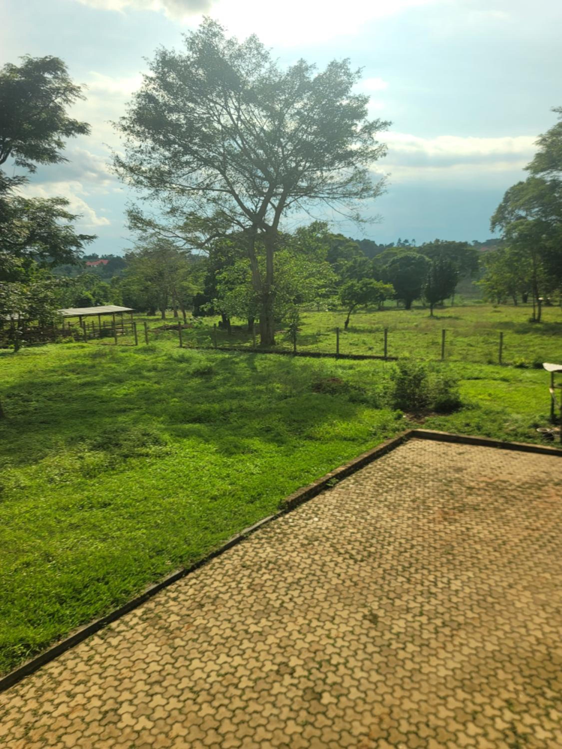 Hacienda el Nathaniel farm house view 4