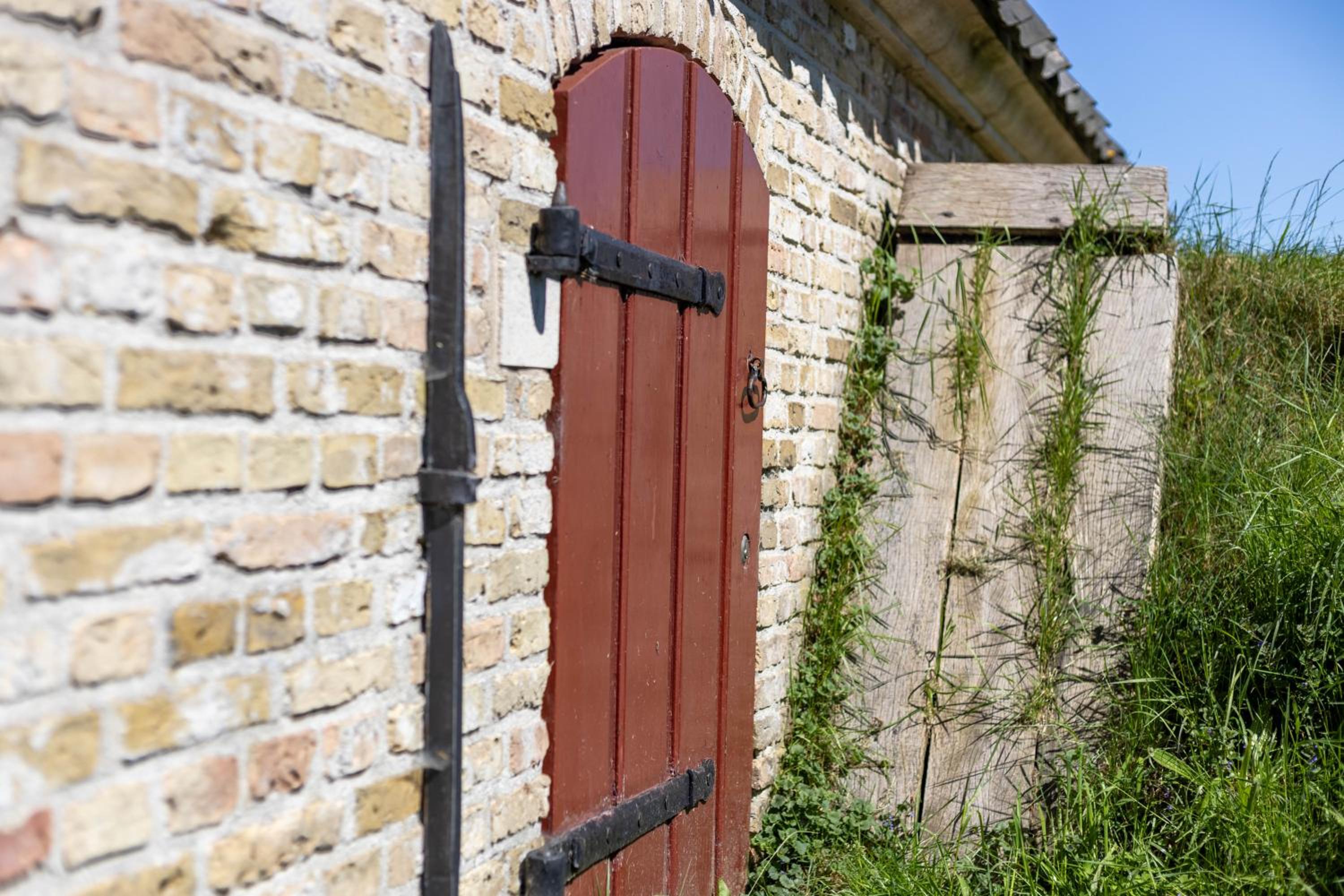 Photo 16