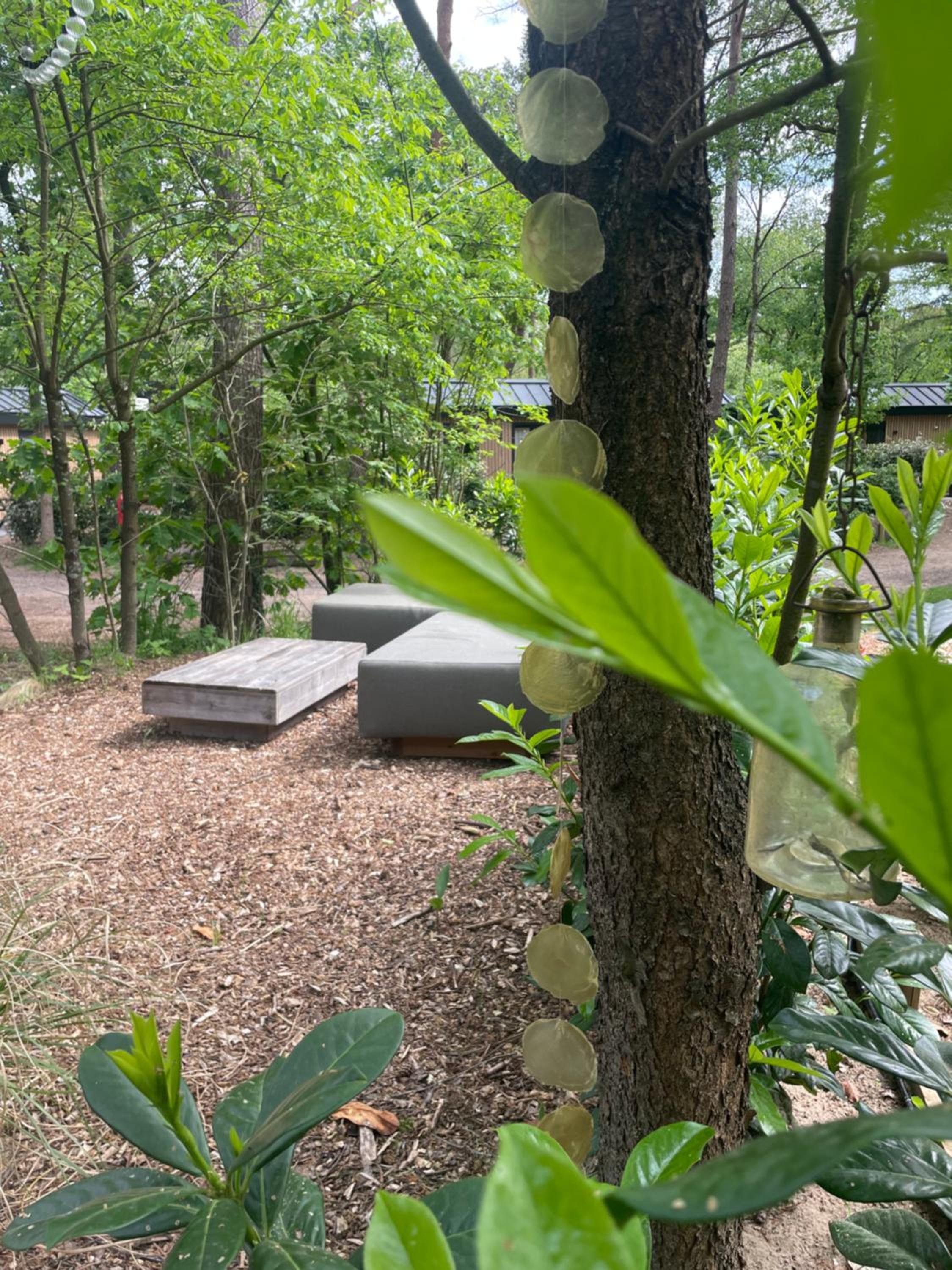 Verde Tiny Lodge tinyhouse view 5