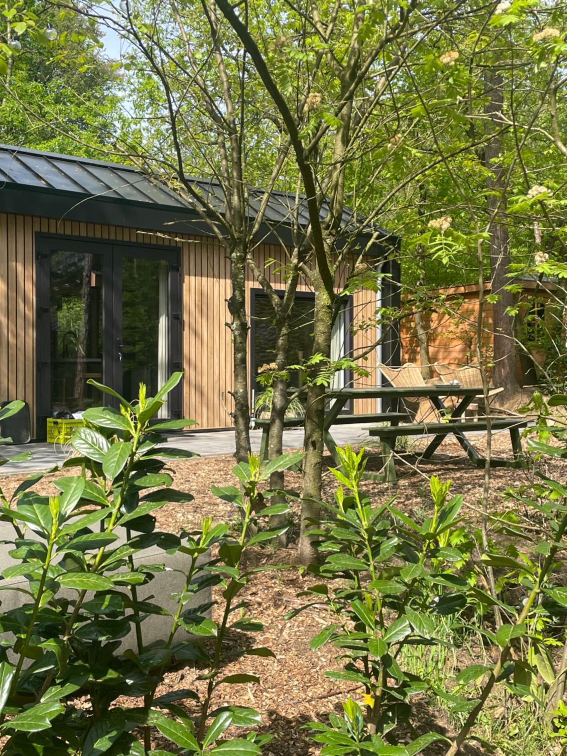 Verde Tiny Lodge tinyhouse view 3