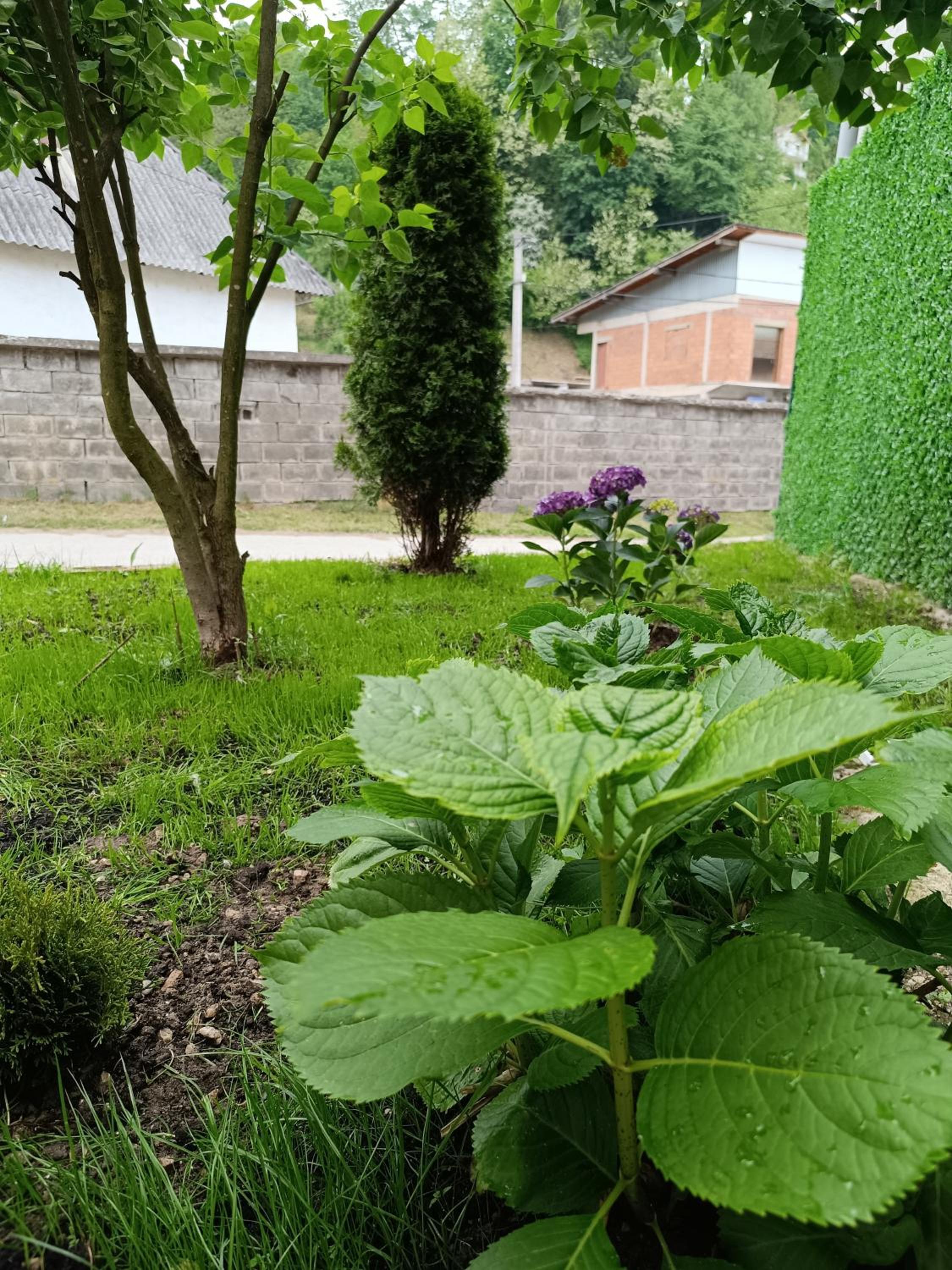Kuća za odmor Majka