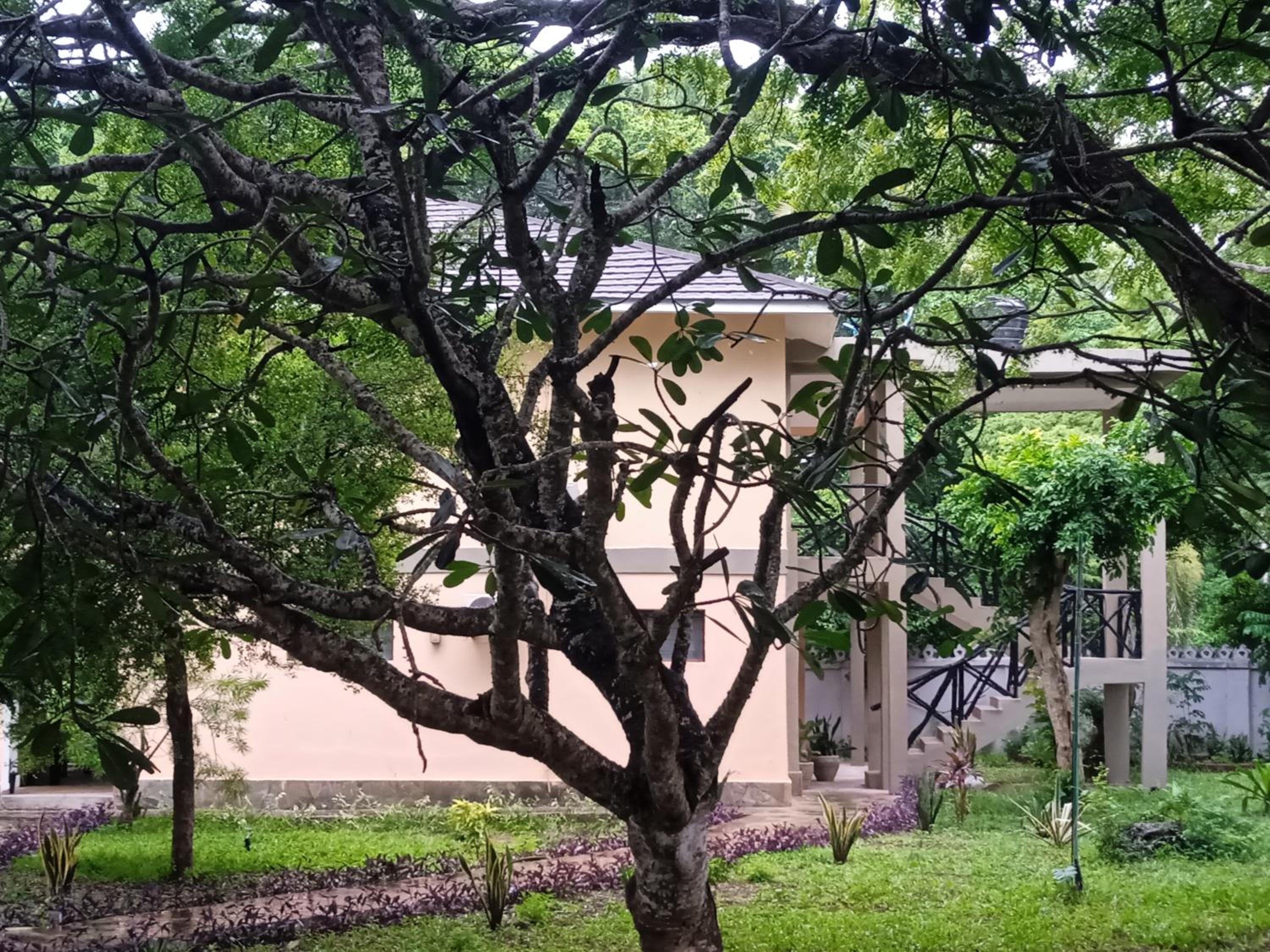 Ukunda Vacations - Beachfront Coral villa - 3 bedroom unit - Property Image 2