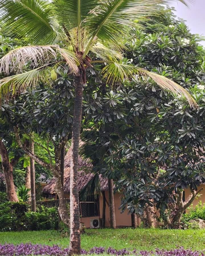 Ukunda Vacations - Beachfront Coral villa - 3 bedroom unit - Property Image 2